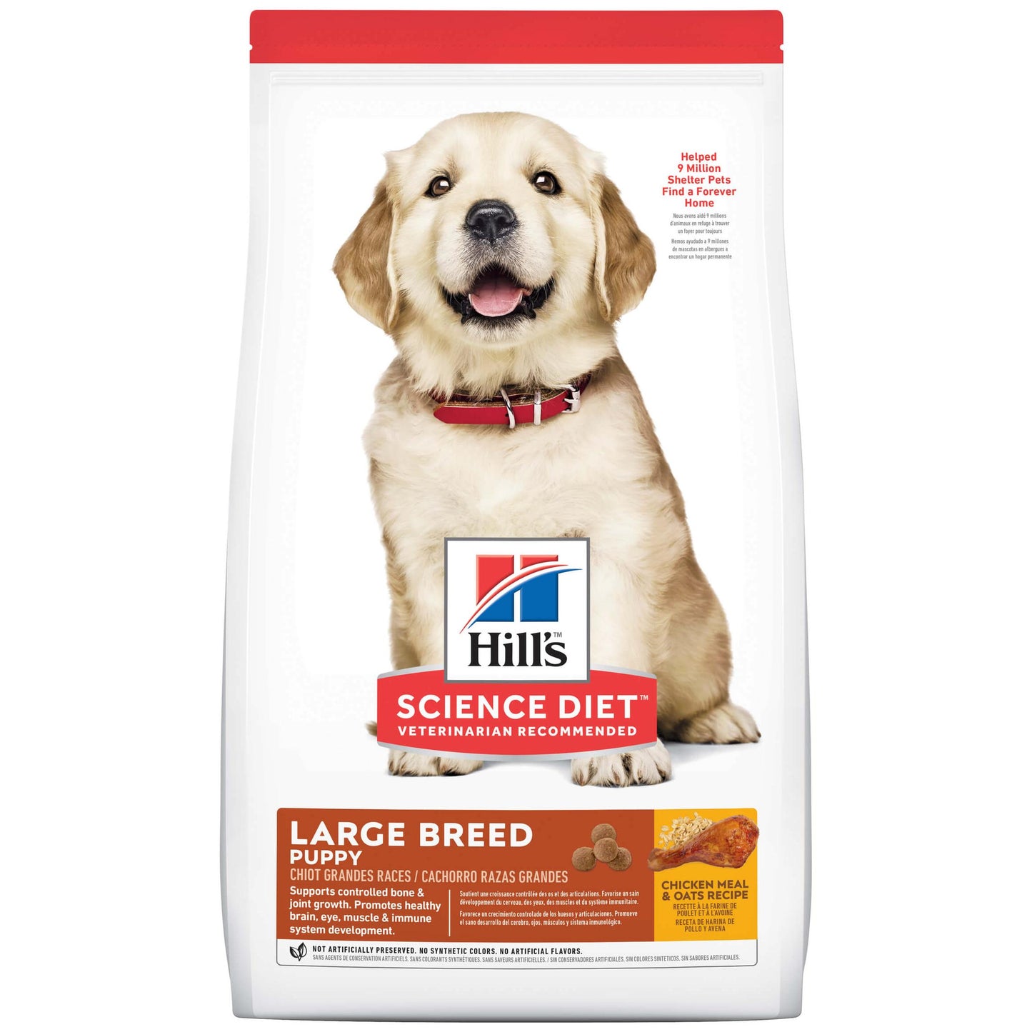 Hill's Science Diet Puppy Large Breed Dry Dog Food