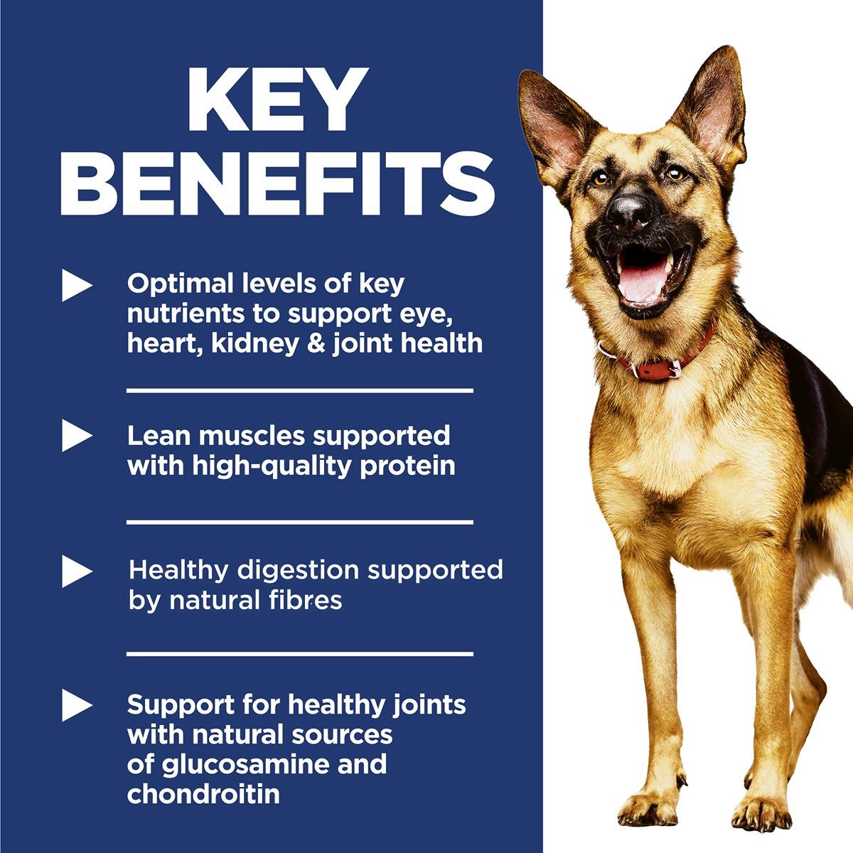 Hill's Science Diet Adult 6+ Senior Dry Dog Food
