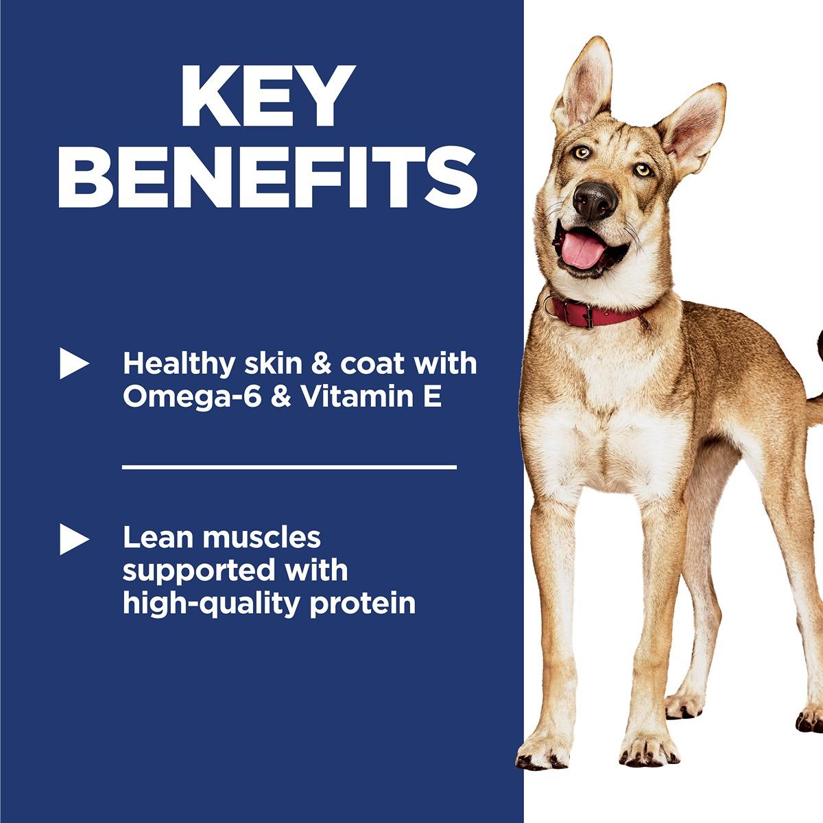 Hill's Science Diet Adult Dog Food