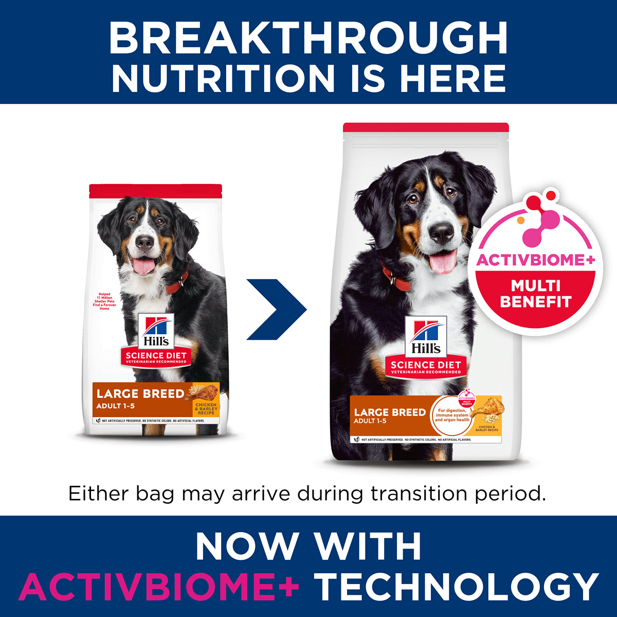 Hill's Science Diet Adult Large Breed Dry Dog Food
