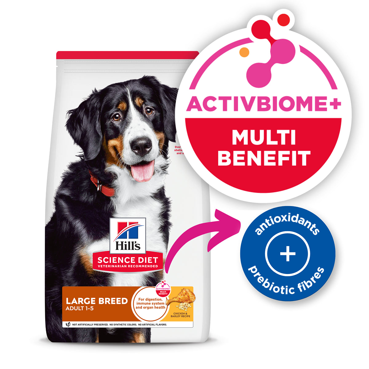 Hill's Science Diet Adult Large Breed Dry Dog Food