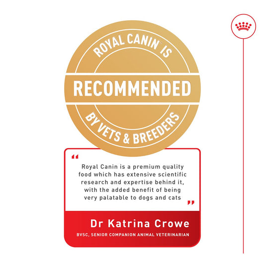 Royal Canin Pug Dry Dog Food