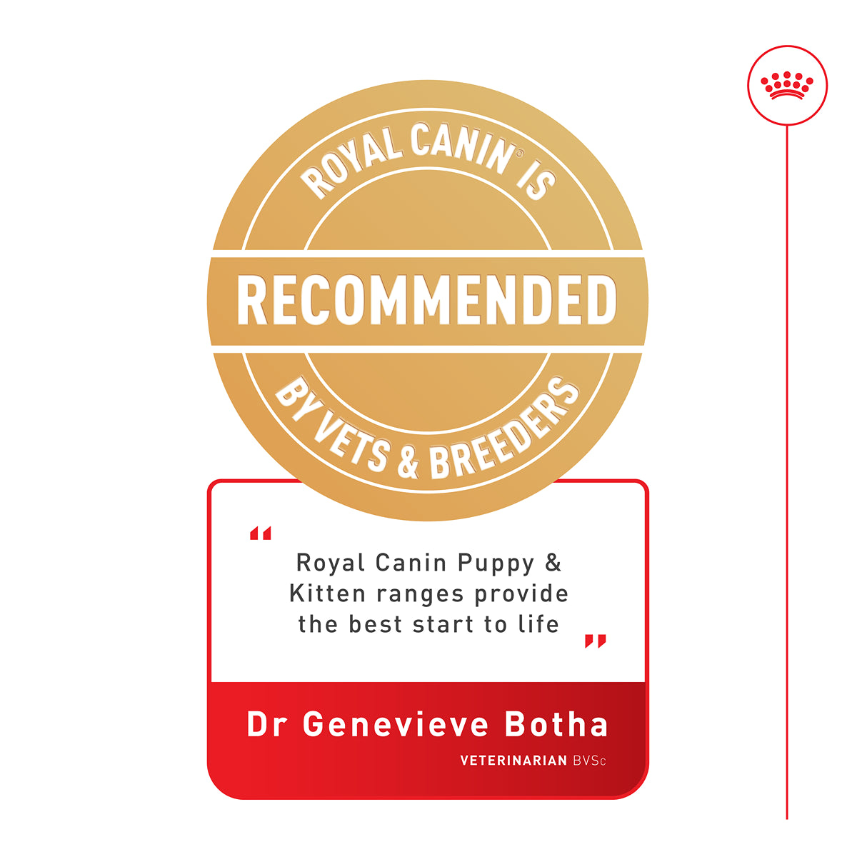 Royal Canin Mini Dry Puppy Food