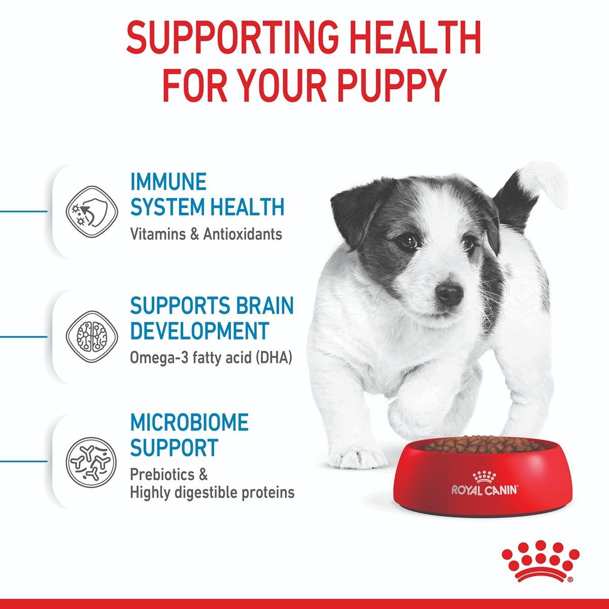Royal Canin Mini Dry Puppy Food