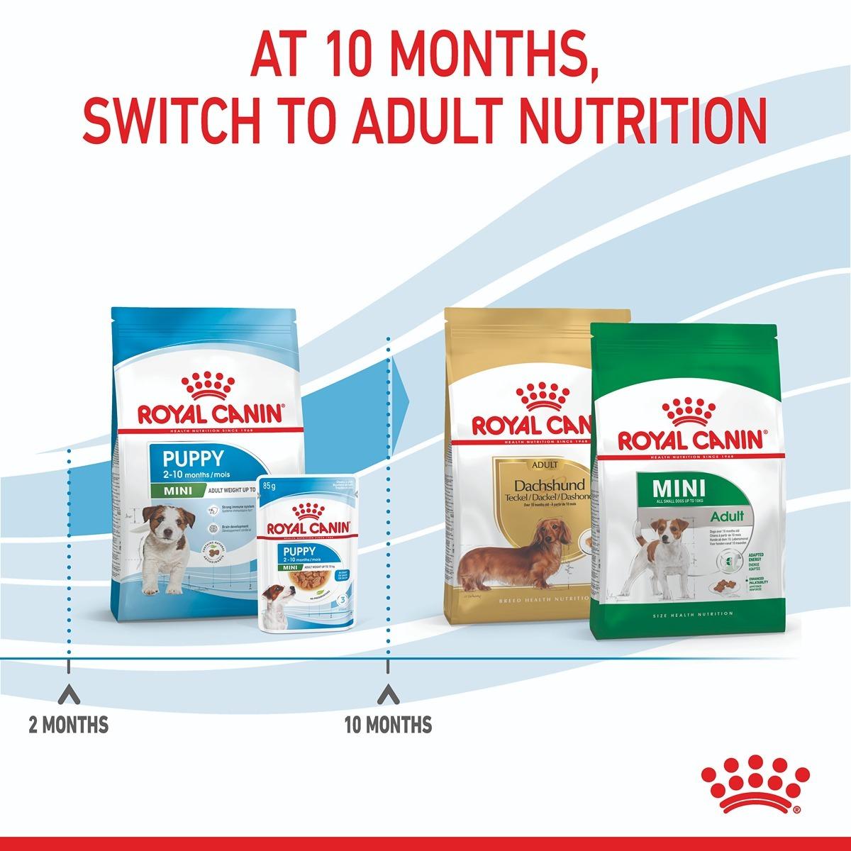Royal Canin Mini Dry Puppy Food