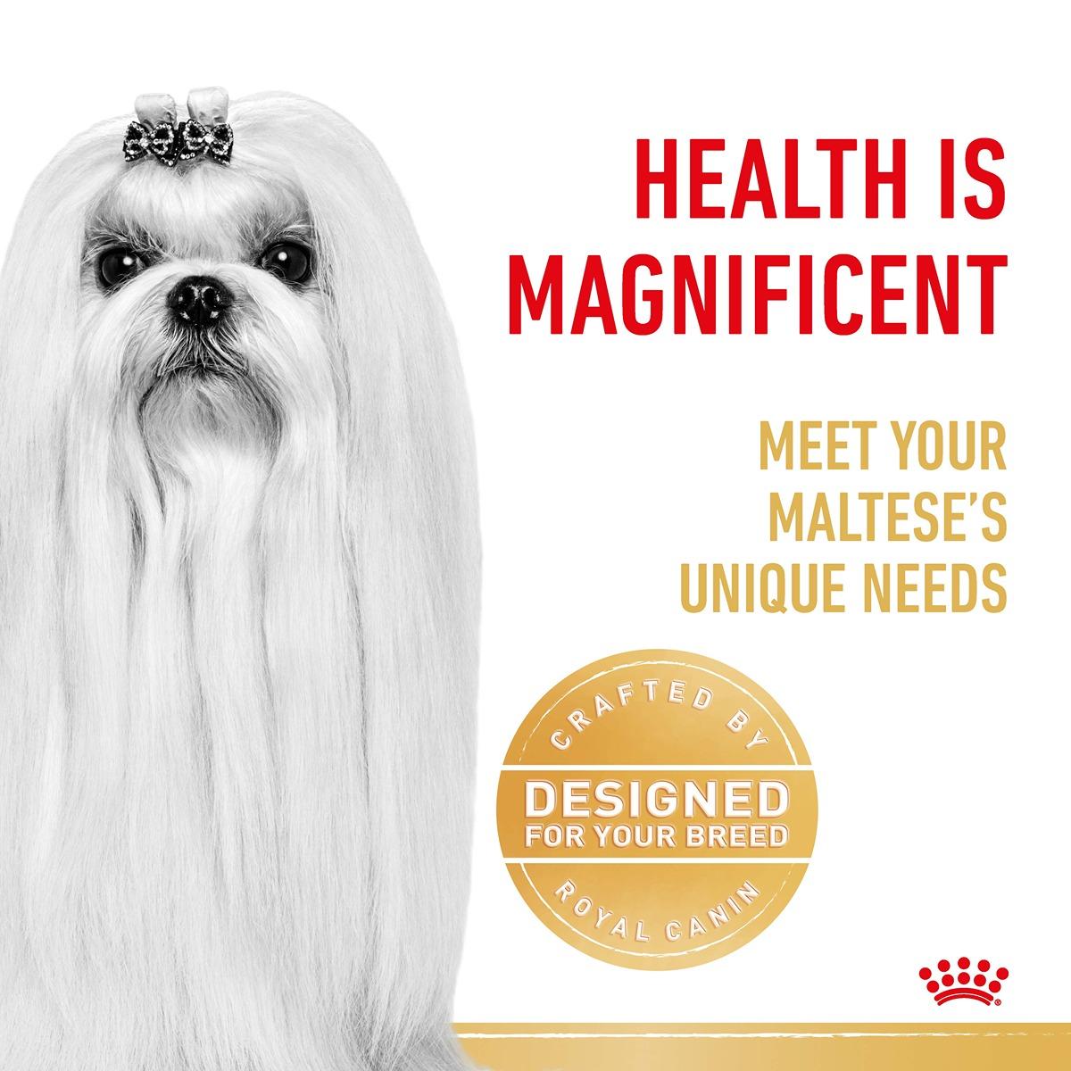 Royal Canin Maltese Dry Dog Food