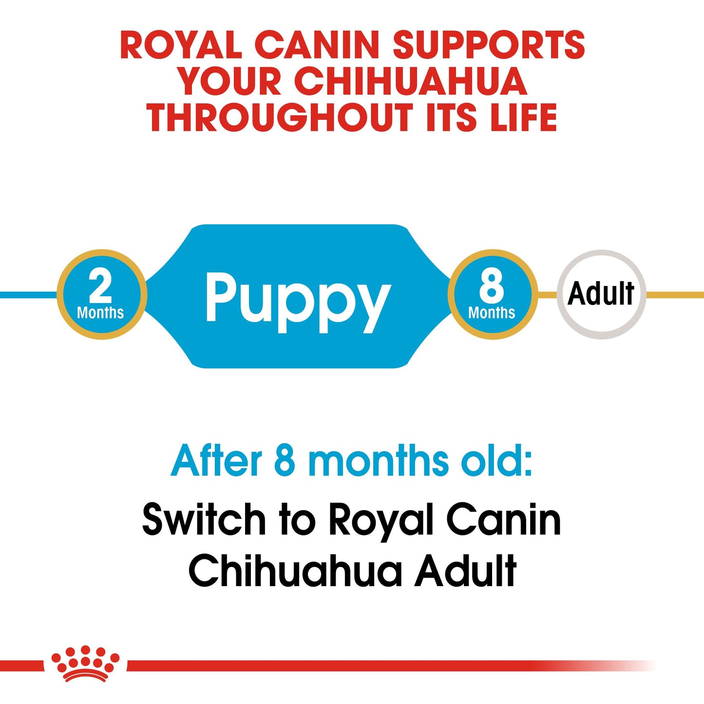 Royal Canin Chihuahua Dry Puppy Food