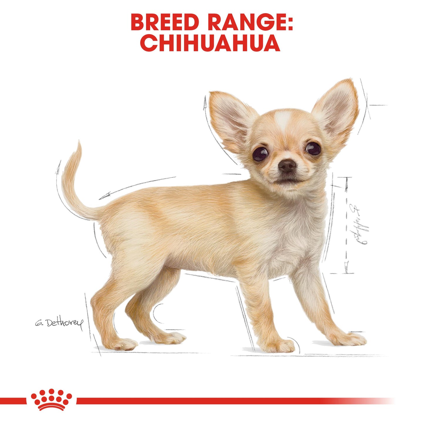 Royal Canin Chihuahua Dry Puppy Food