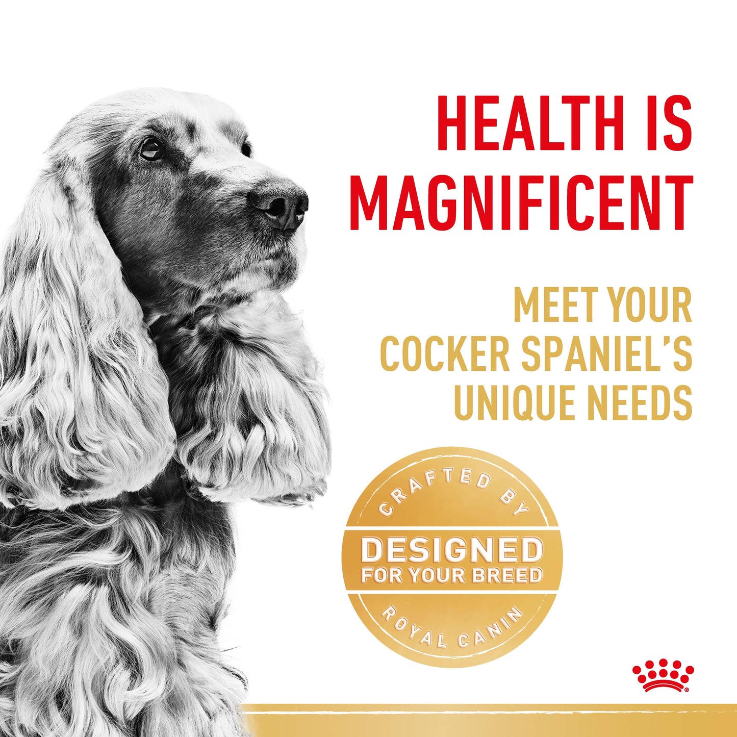 Royal Canin Cocker Spaniel Dry Dog Food