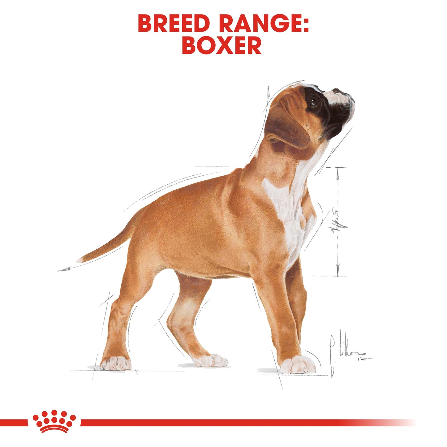 Royal Canin Boxer Dry Puppy Food