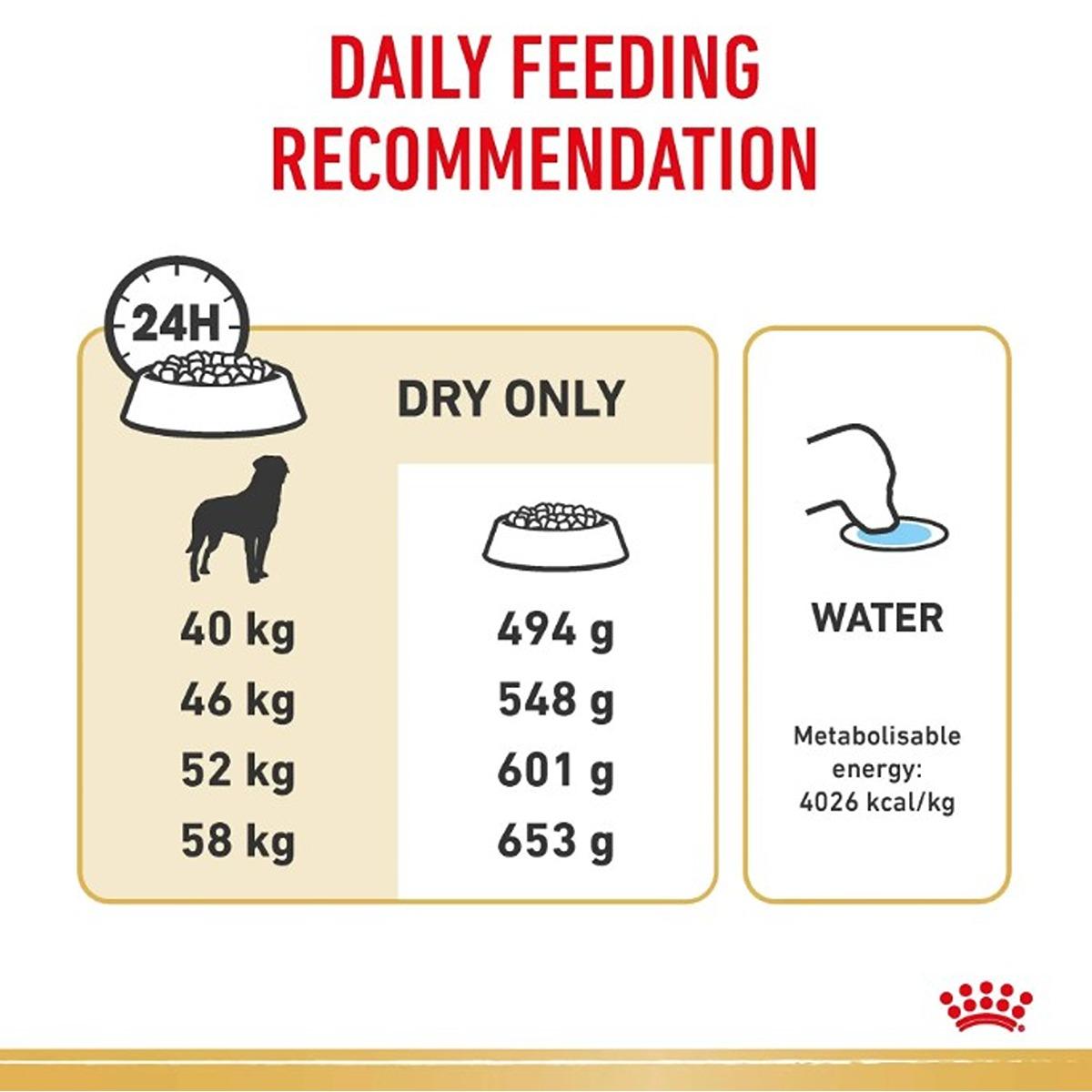 Royal Canin Rottweiler Dry Dog Food