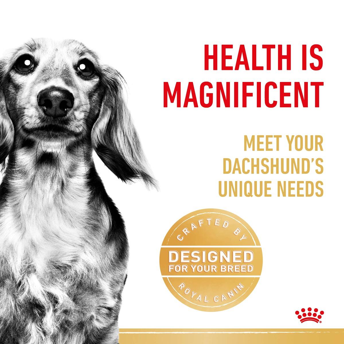 Royal Canin Dachshund Dry Dog Food