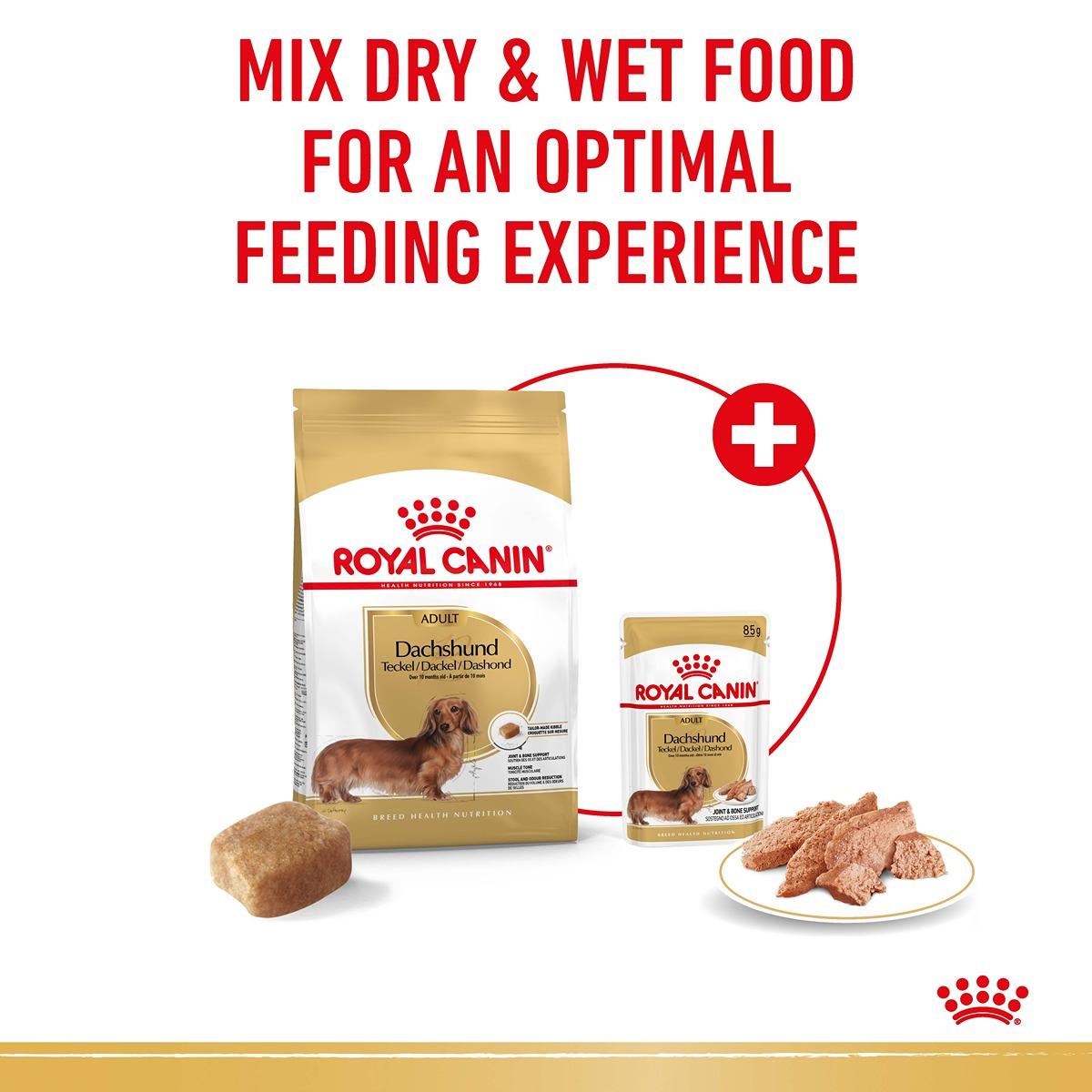 Royal Canin Dachshund Dry Dog Food