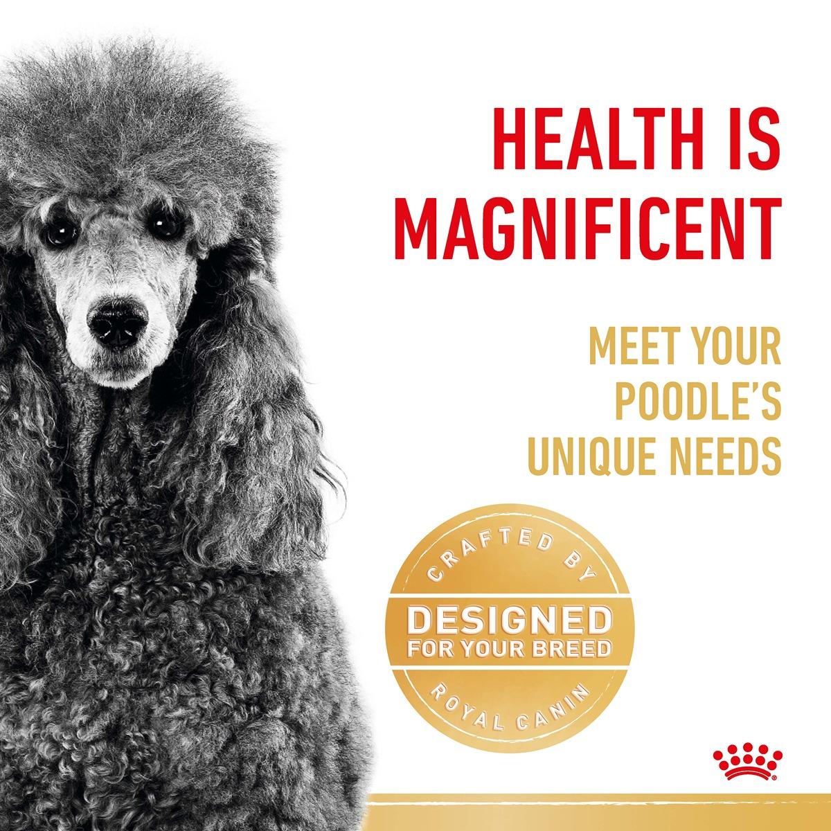 Royal Canin Poodle Adult Dry Dog Food