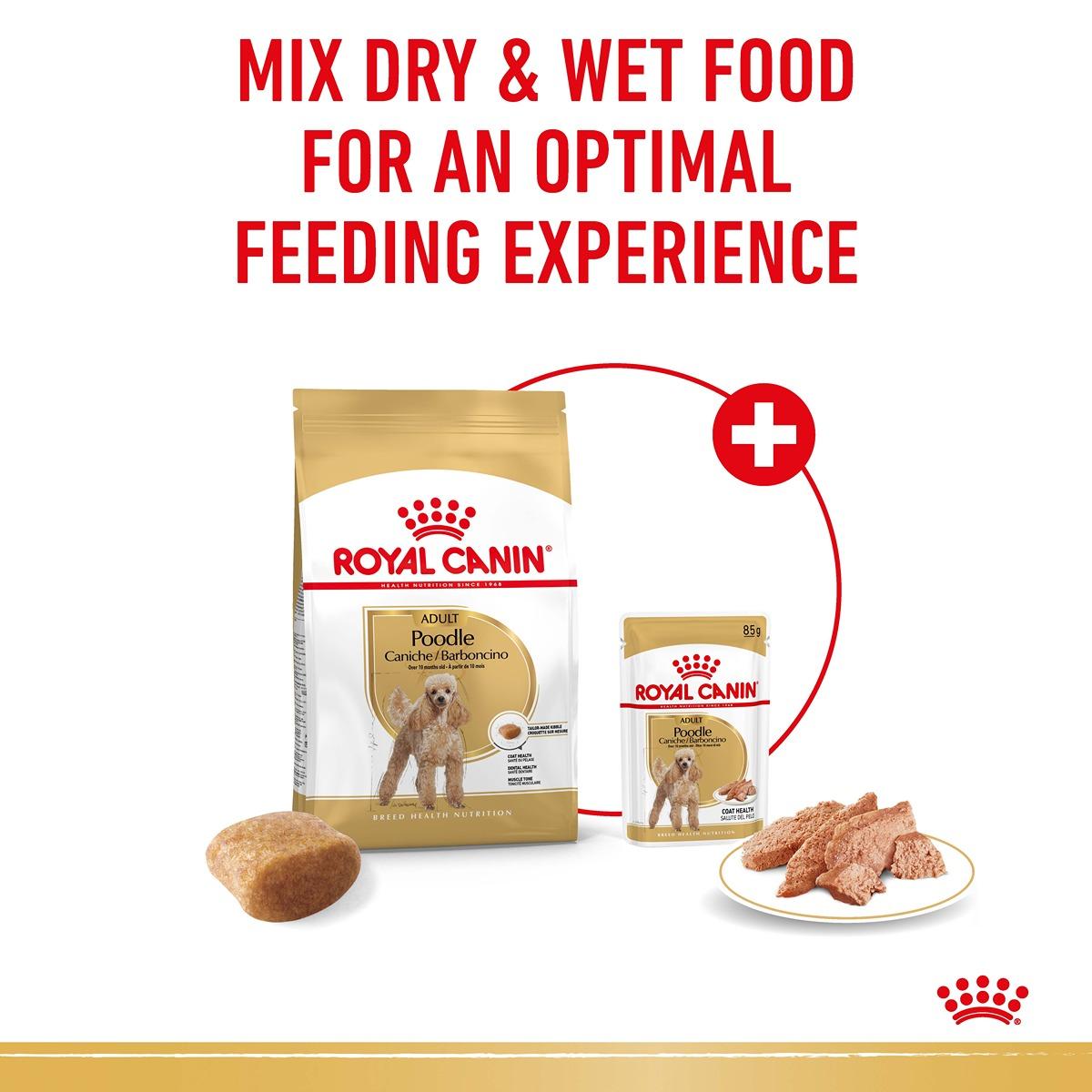 Royal Canin Poodle Adult Dry Dog Food