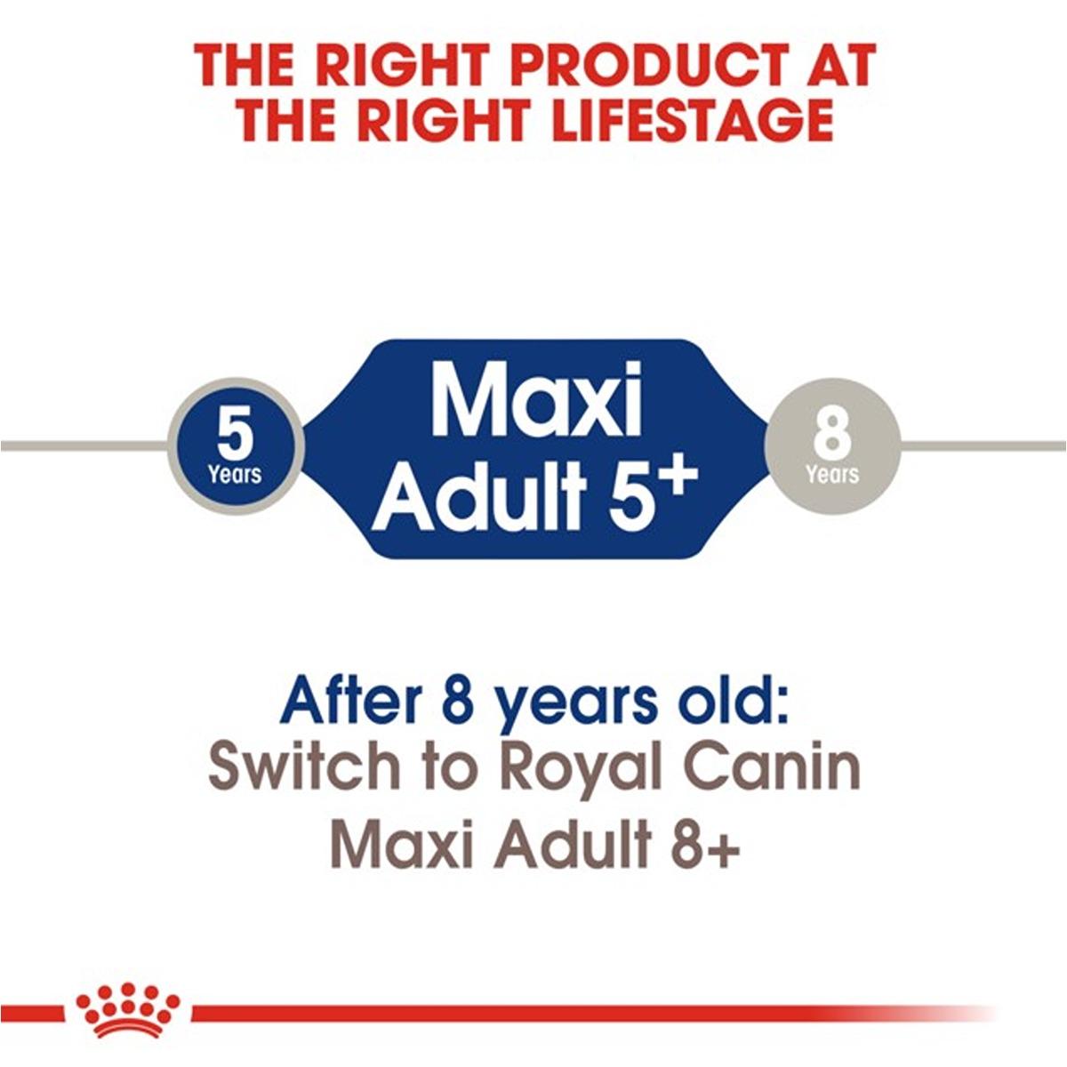 Royal Canin Maxi 5+ Dry Dog Food