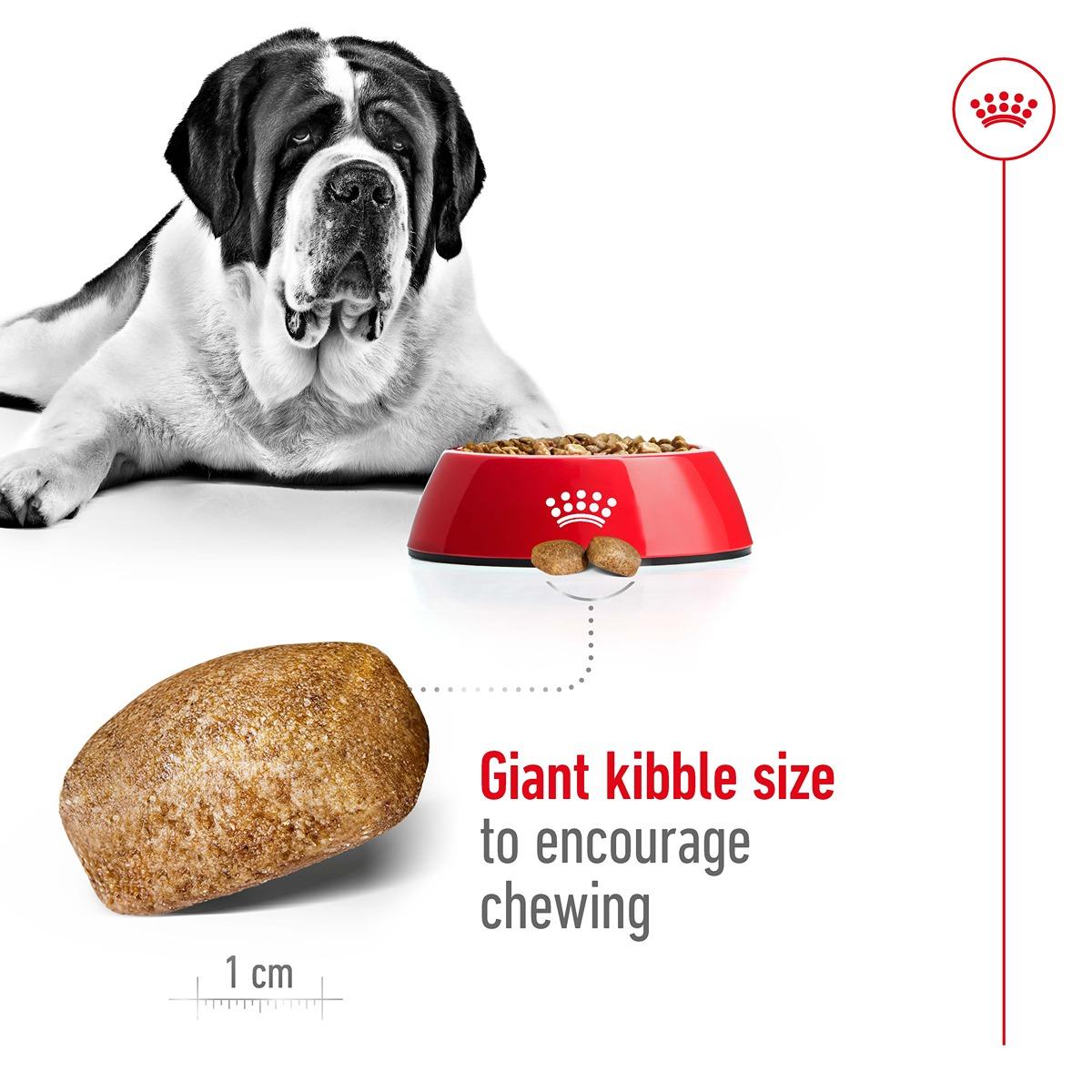 Royal Canin Giant Dry Dog Food