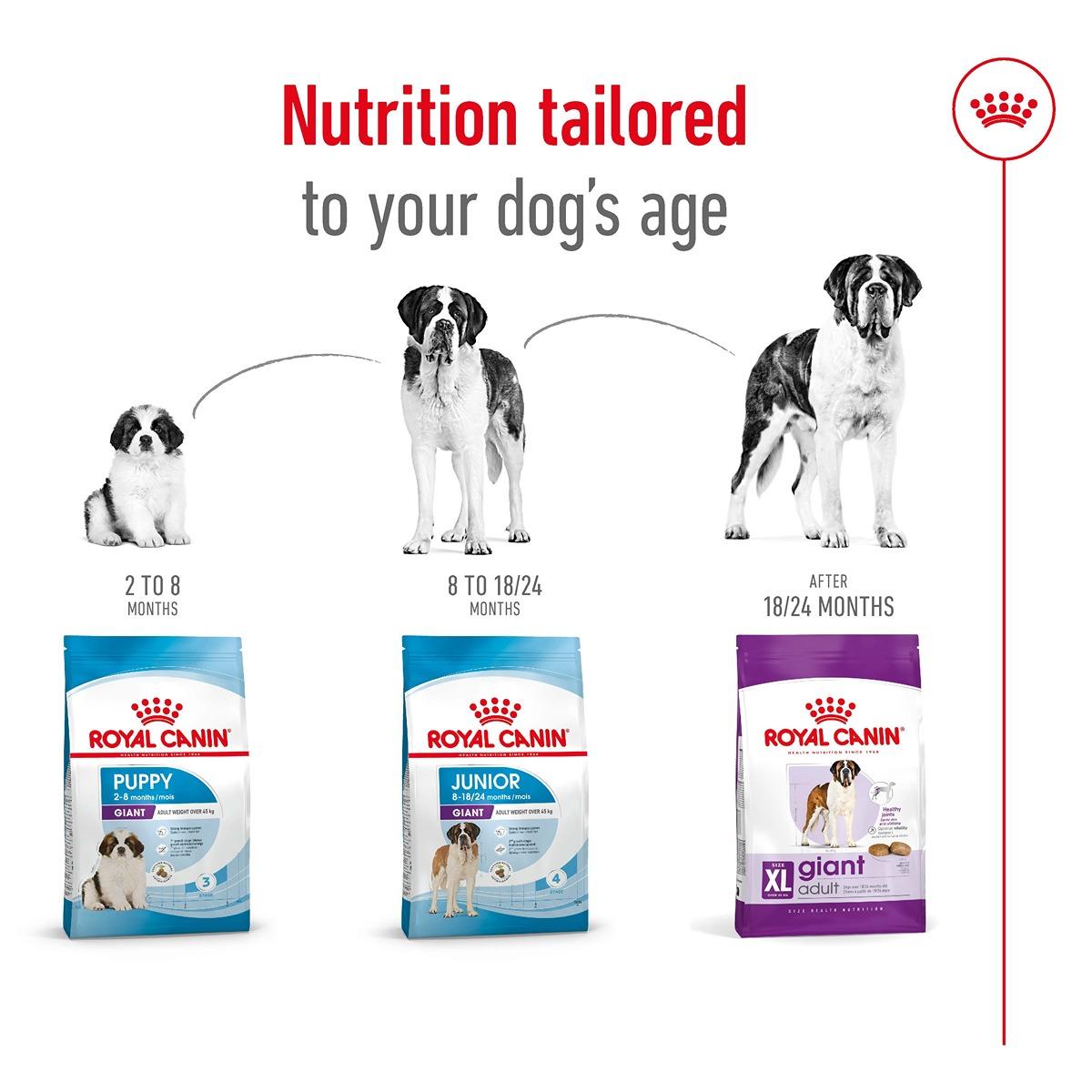 Royal Canin Giant Dry Dog Food