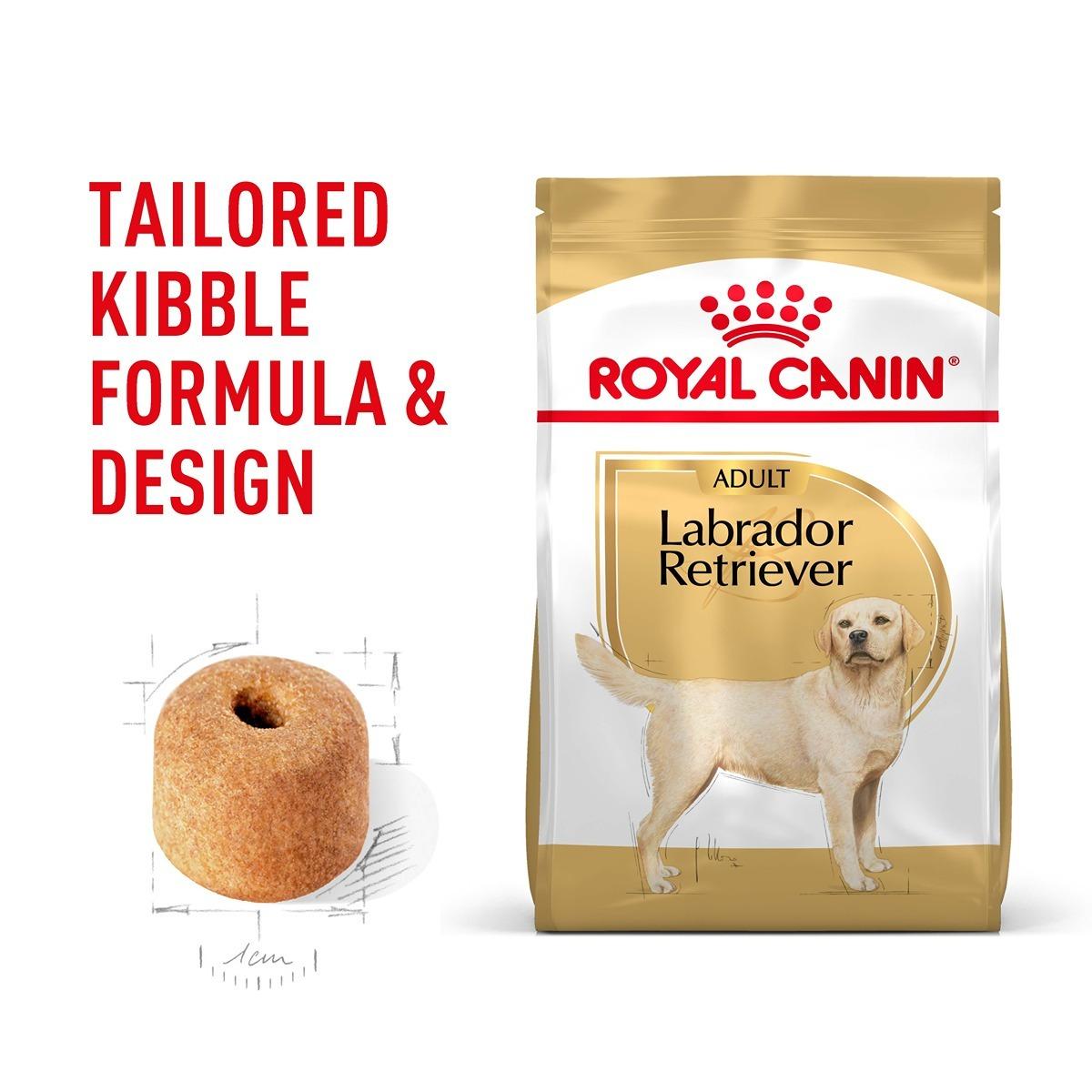 Royal Canin Labrador Retriever Dry Dog Food