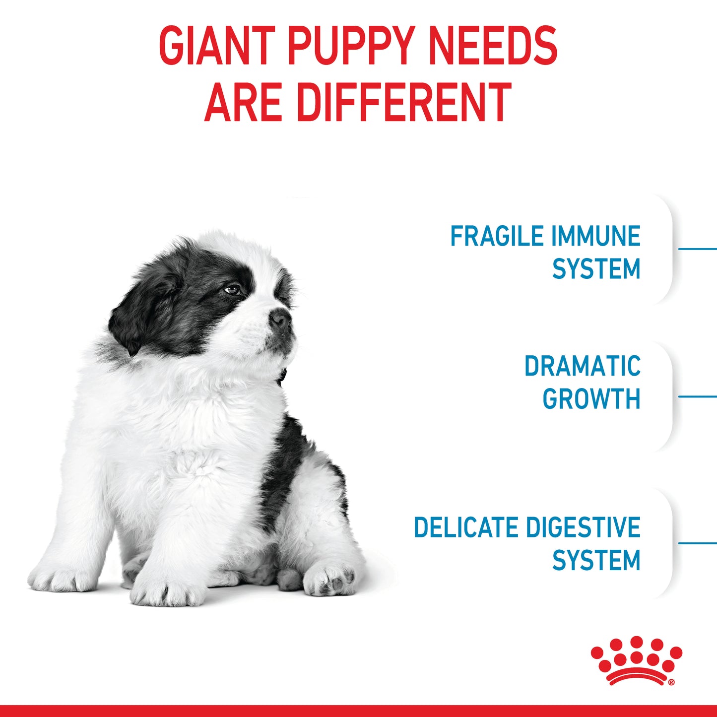Royal Canin Giant Dry Puppy Food