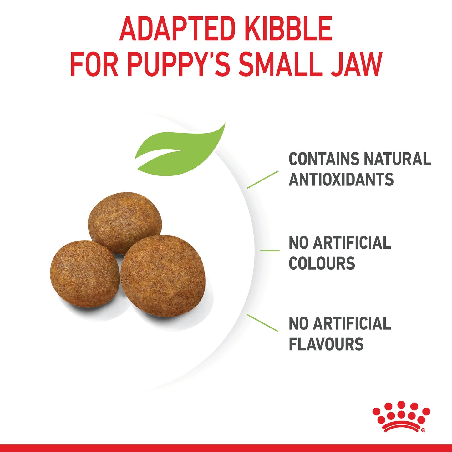 Royal Canin Giant Dry Puppy Food