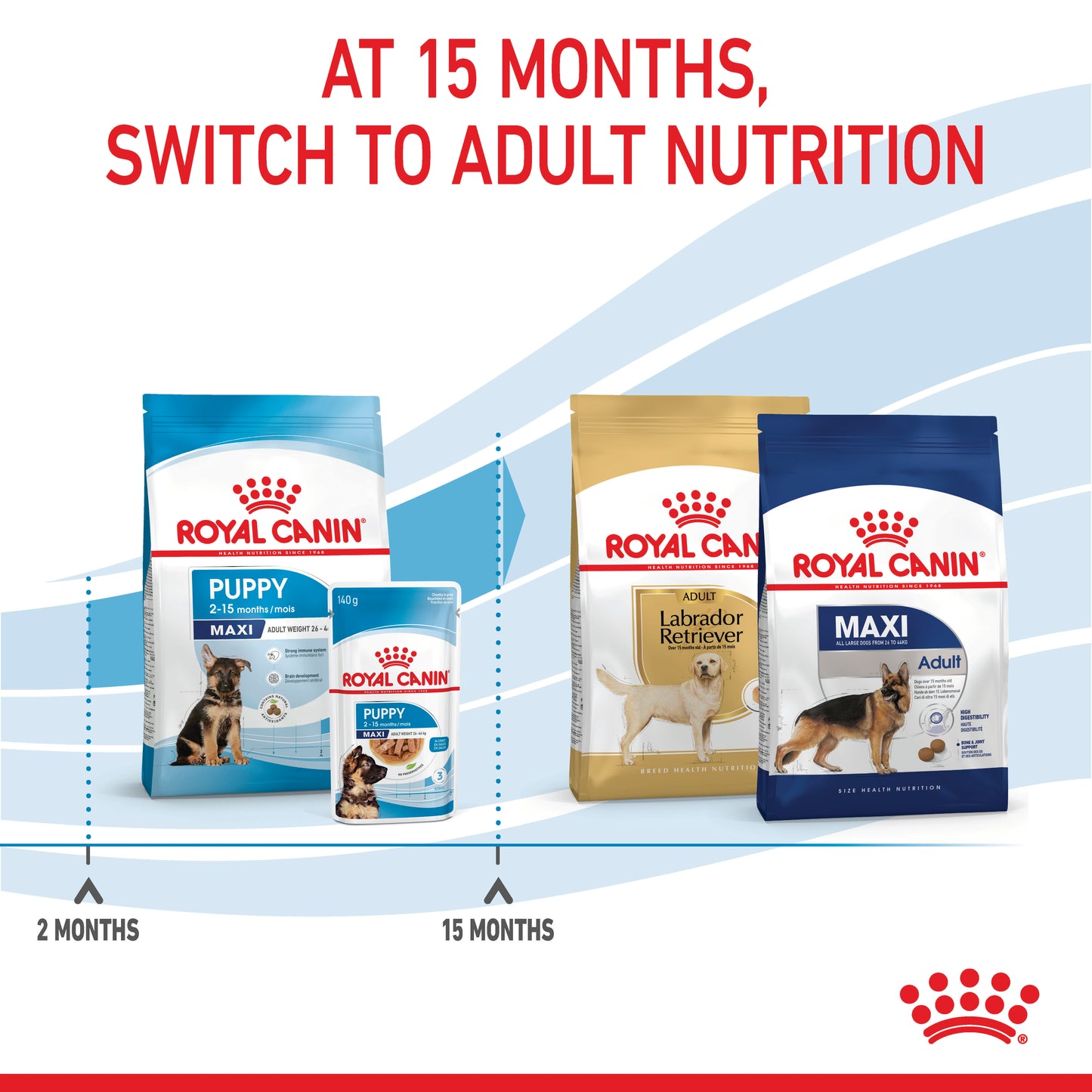 Royal Canin Maxi Dry Puppy Food