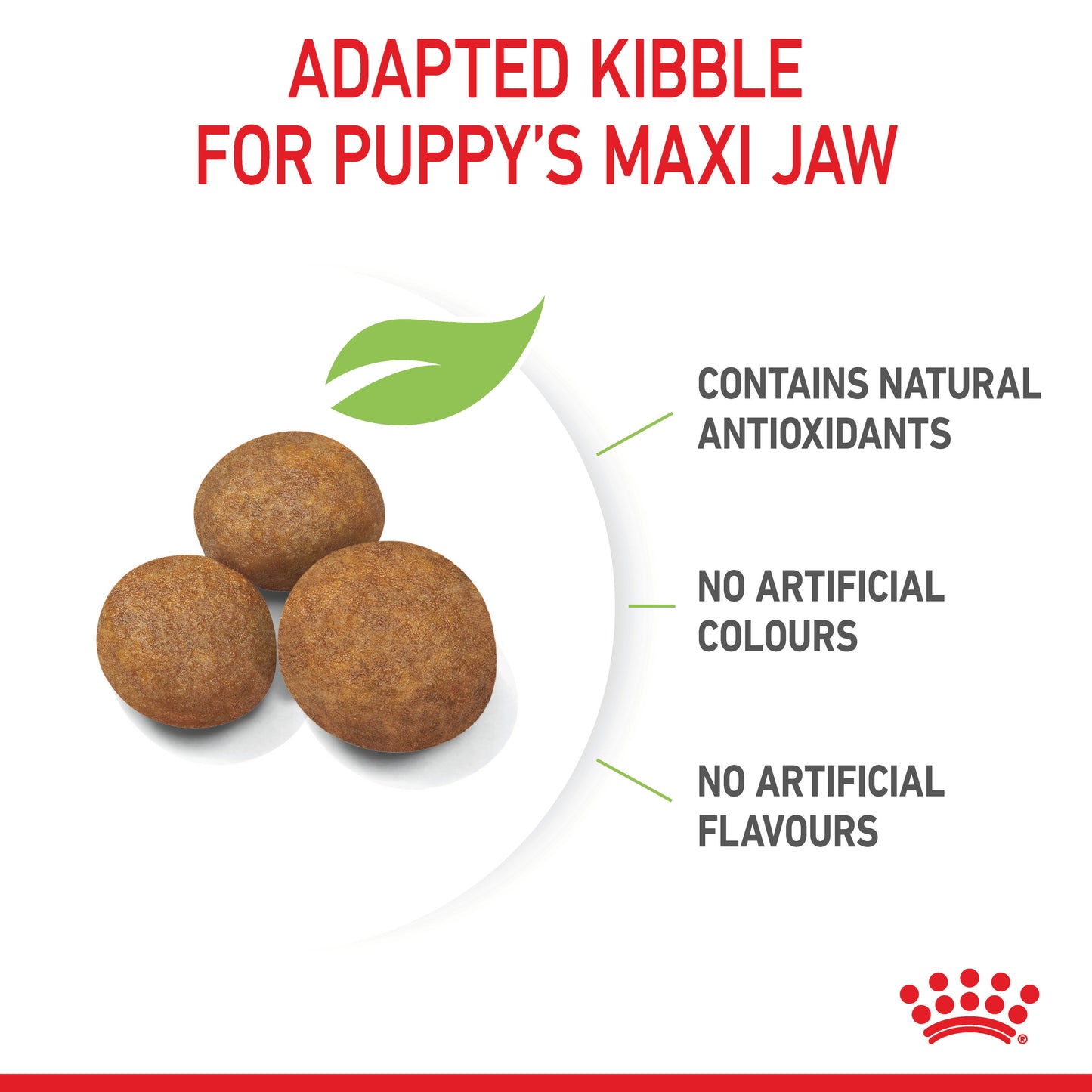 Royal Canin Maxi Dry Puppy Food