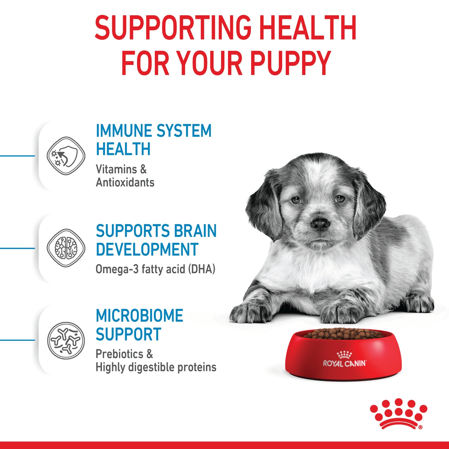 Royal Canin Medium Dry Puppy Food