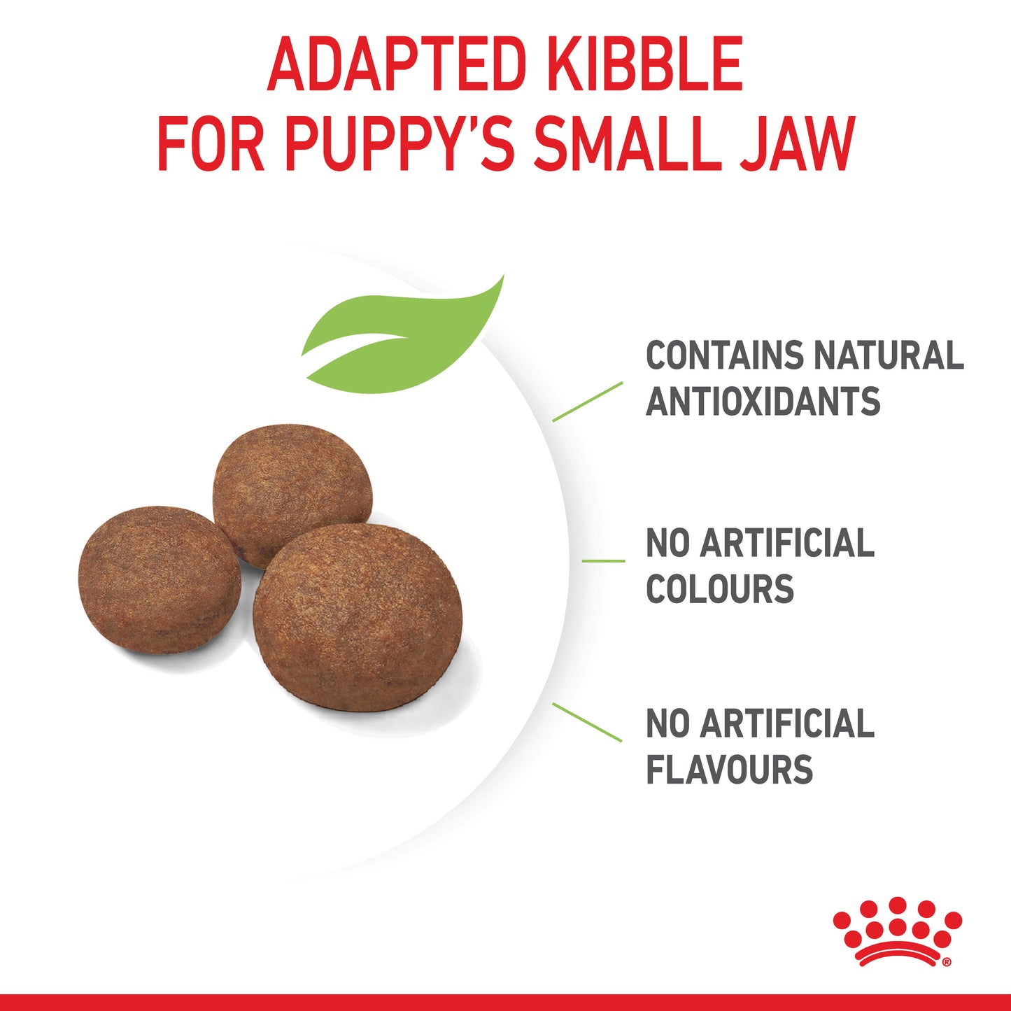 Royal Canin Medium Dry Puppy Food