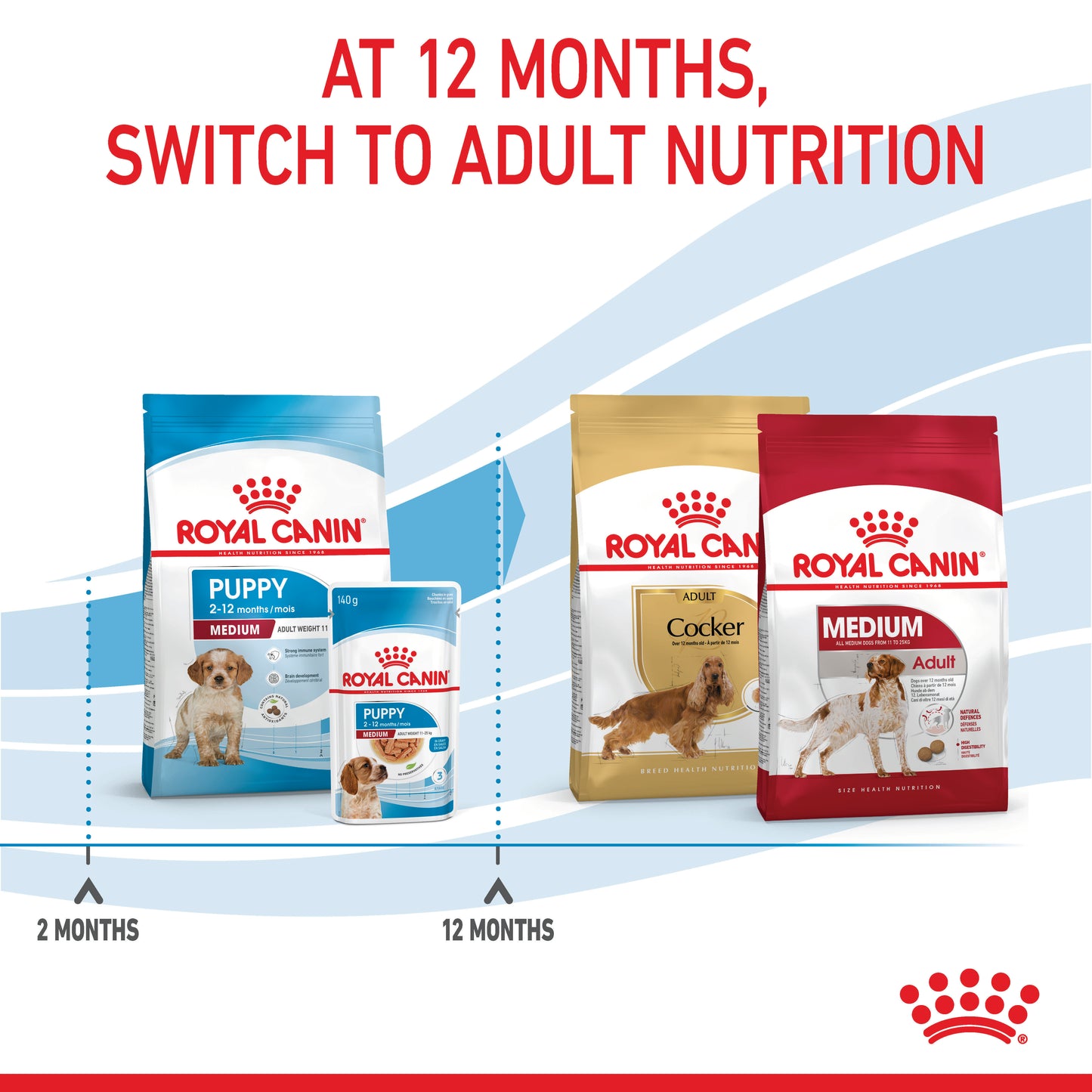 Royal Canin Medium Dry Puppy Food