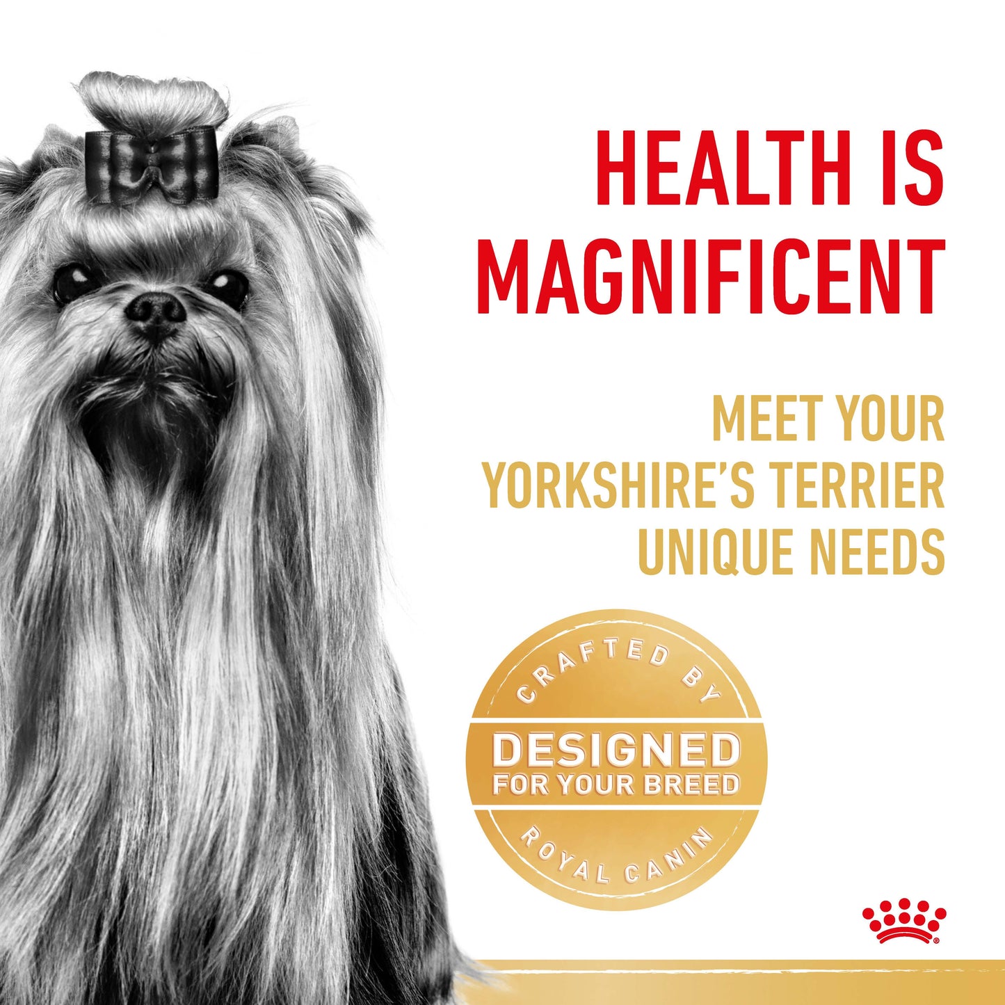 Royal Canin Yorkshire Terrier Dry Dog Food