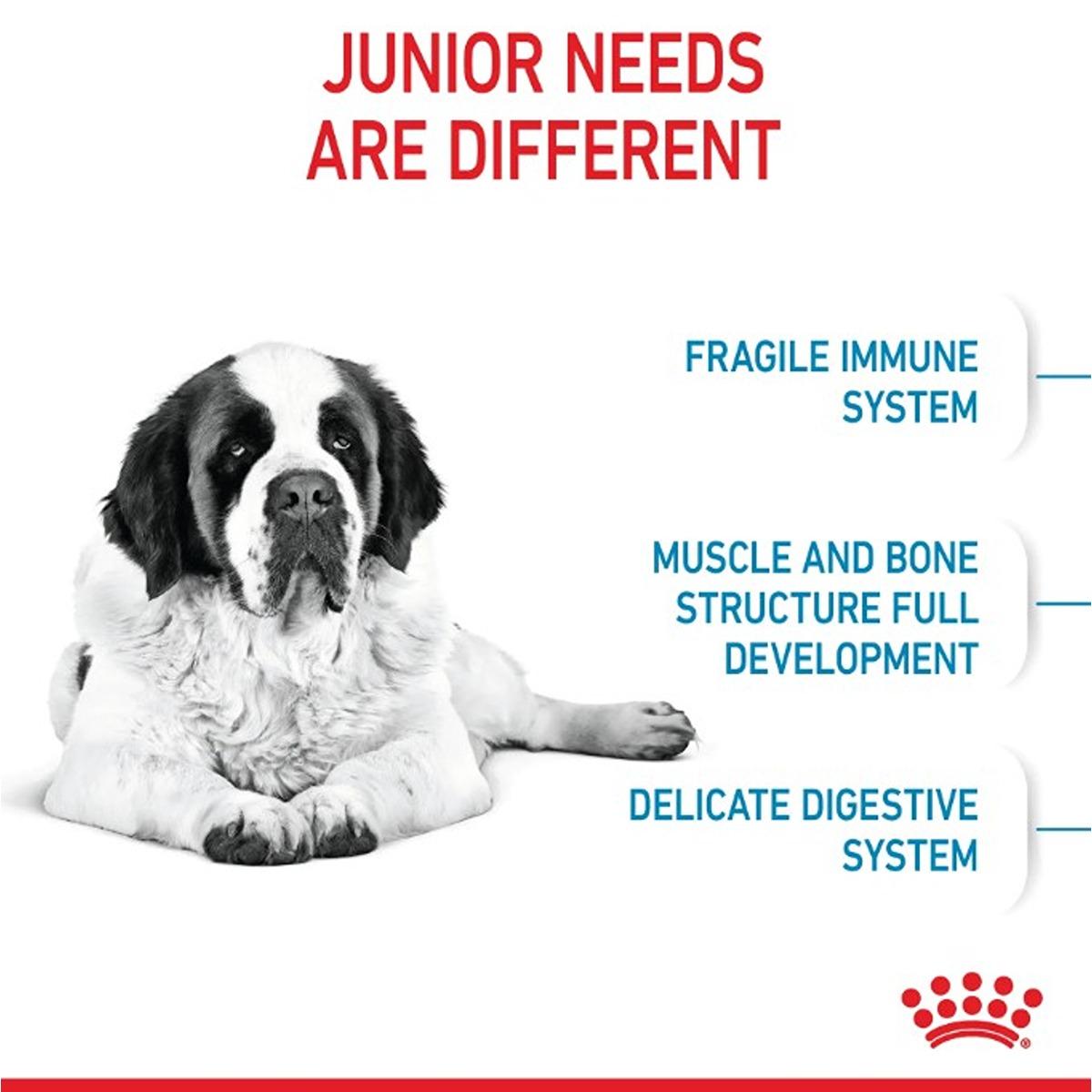 Royal Canin Giant Dry Junior Food