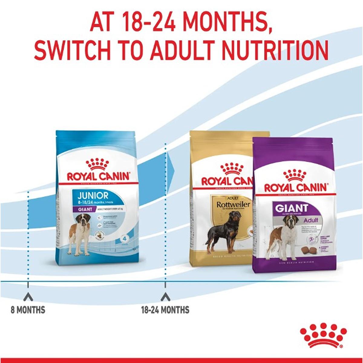 Royal Canin Giant Dry Junior Food