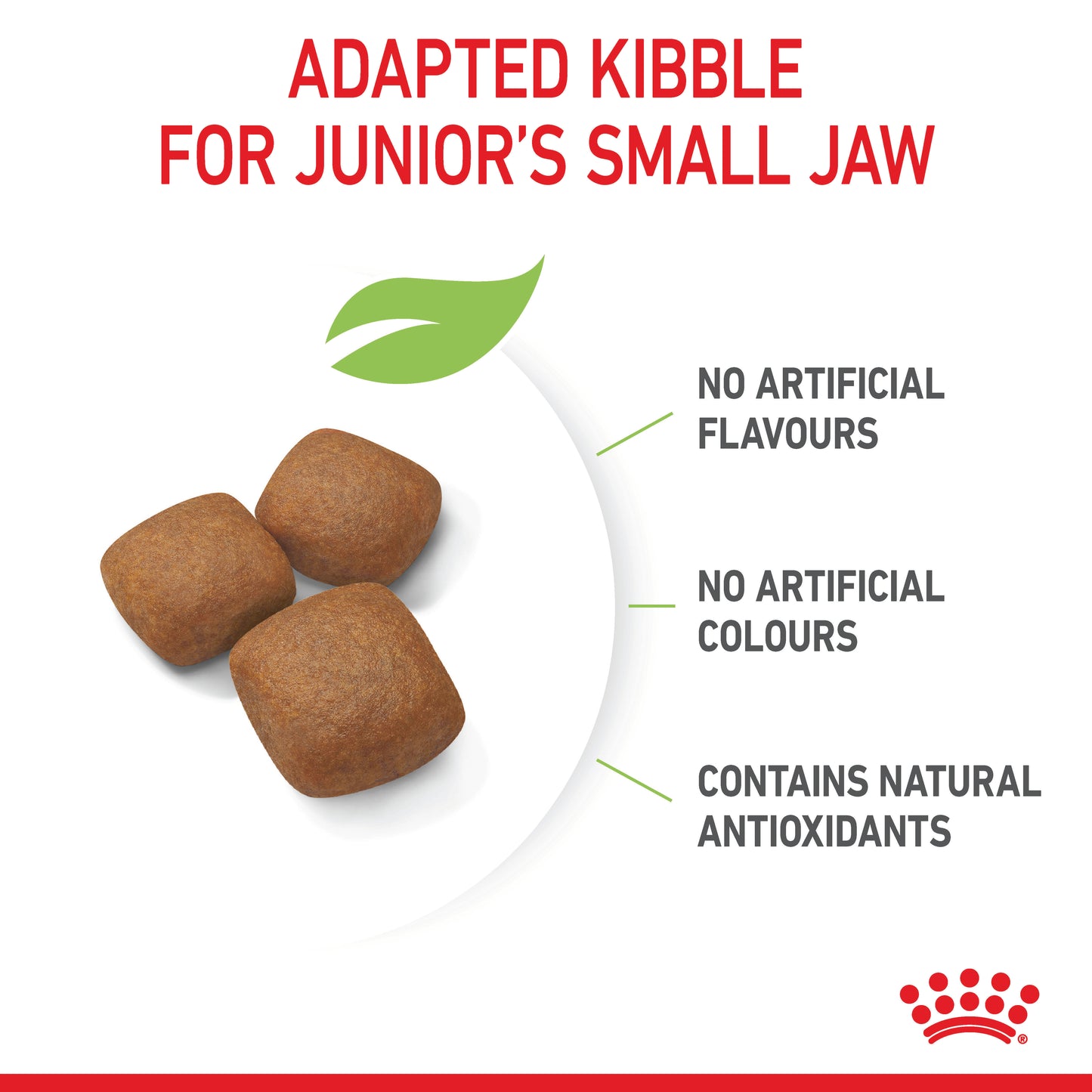 Royal Canin Giant Dry Junior Food