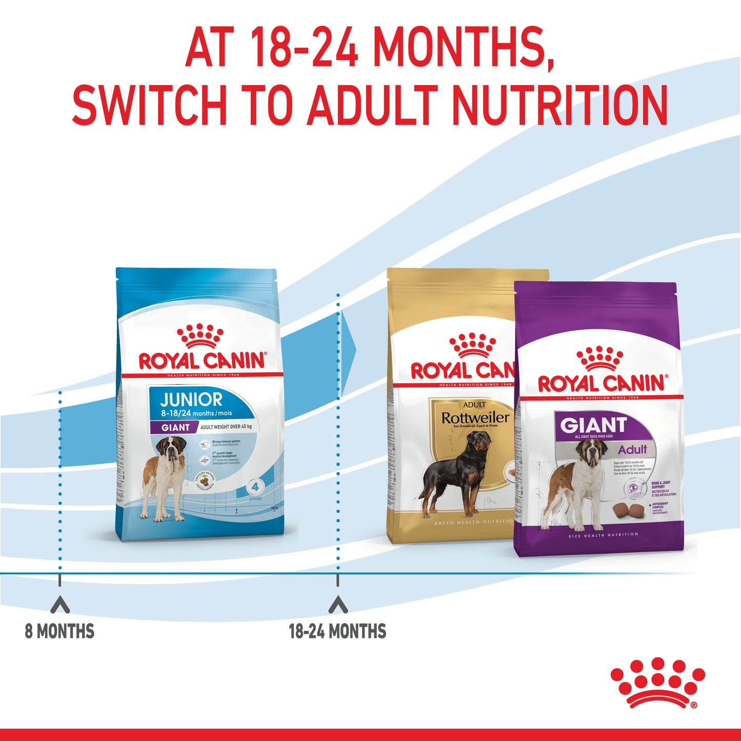 Royal Canin Giant Dry Junior Food