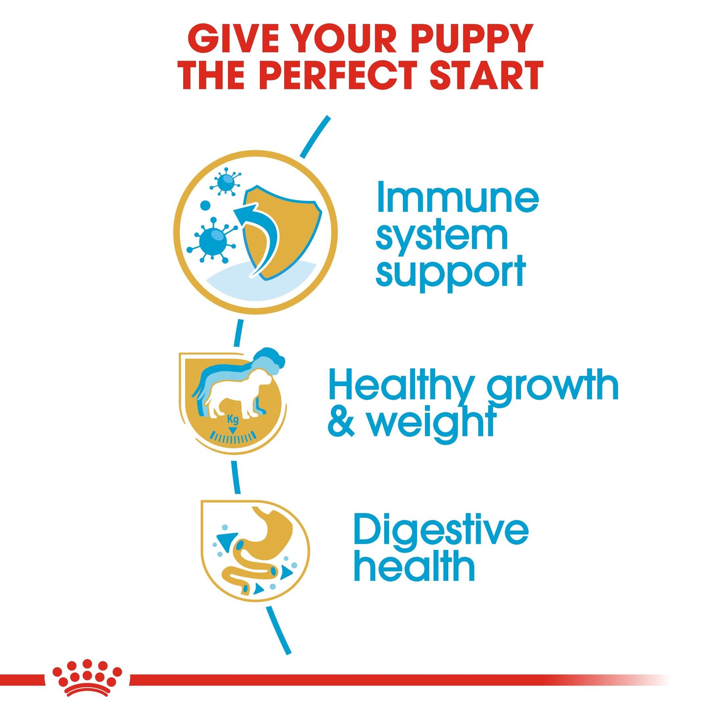 Royal Canin Labrador Dry Puppy Food