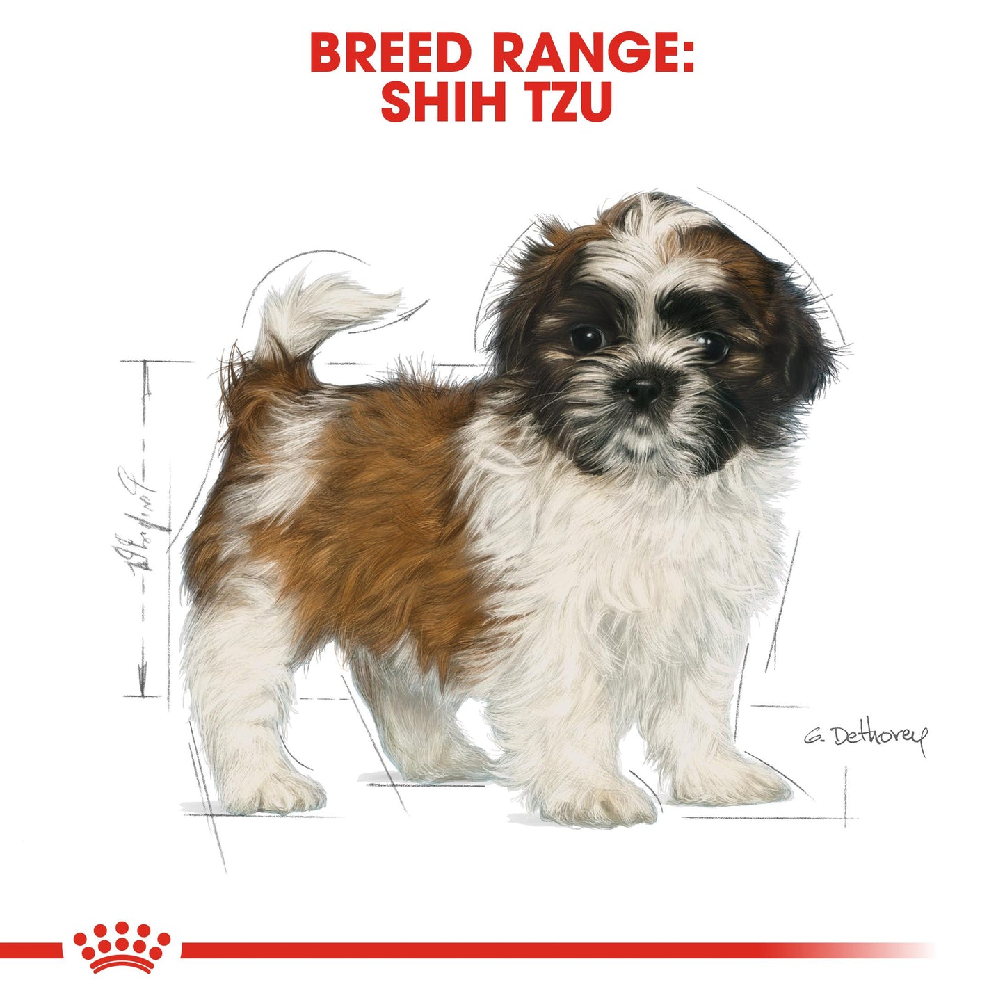 Royal Canin Shih Tzu Dry Puppy Food