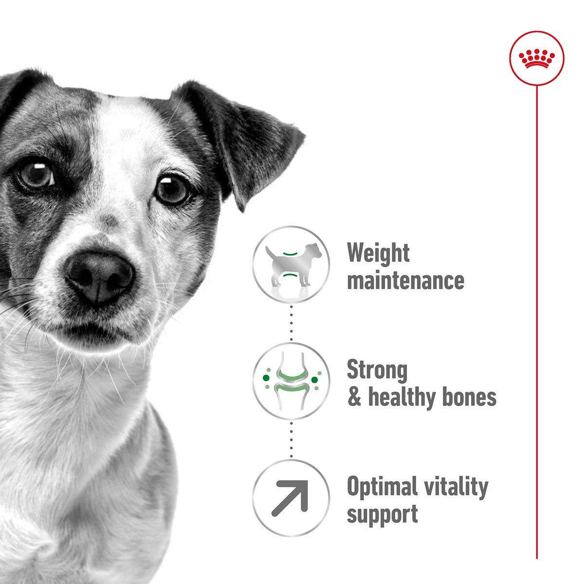 Royal Canin Mini Mature 8+ Dry Dog Food...