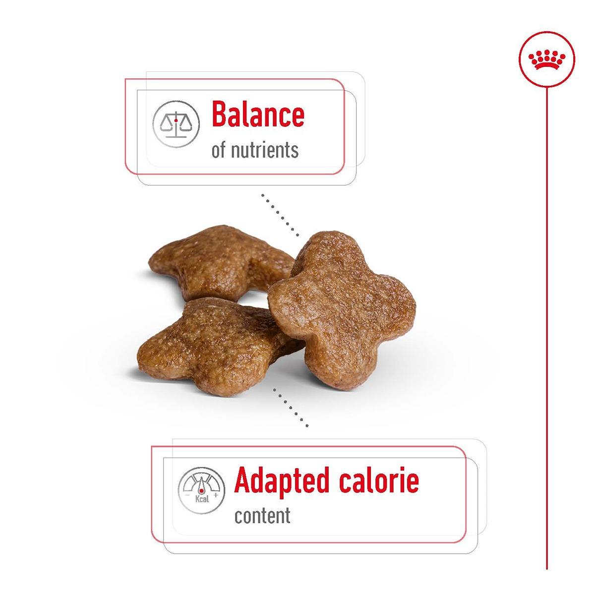 Royal Canin Mini Mature 8+ Dry Dog Food...