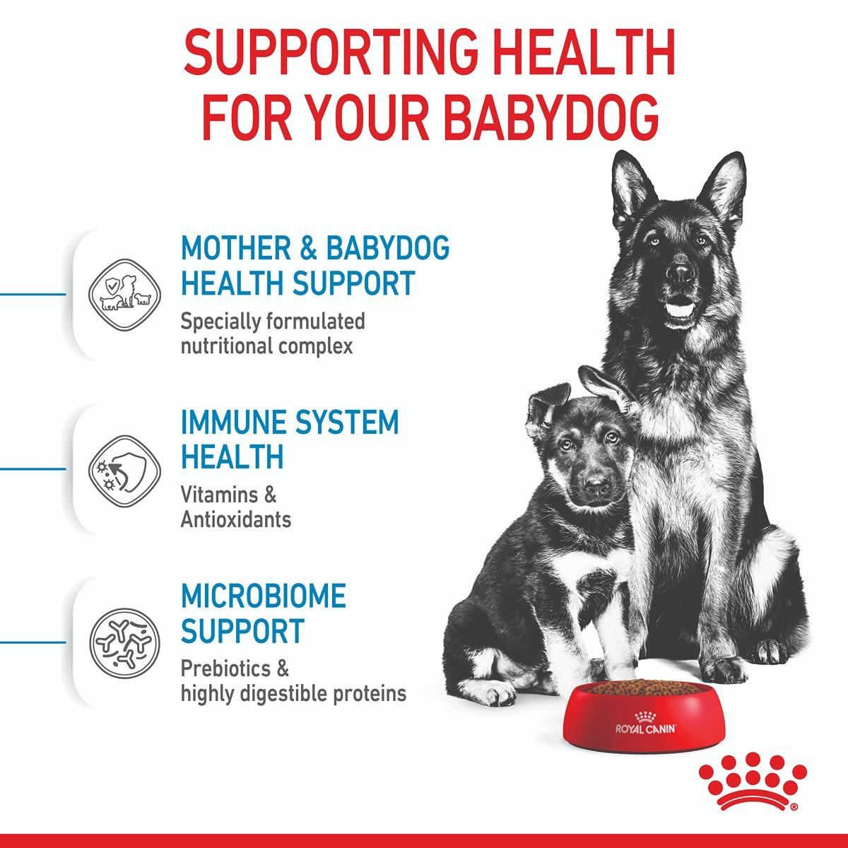 Royal Canin Maxi Starter Mother & Babydog