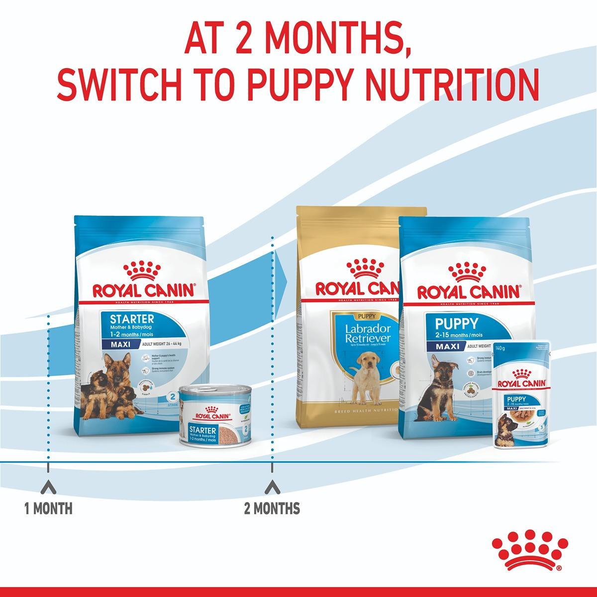 Royal Canin Maxi Starter Mother & Babydog