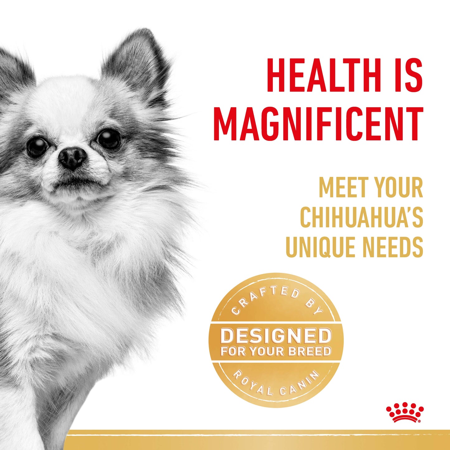 Royal Canin Chihuahua