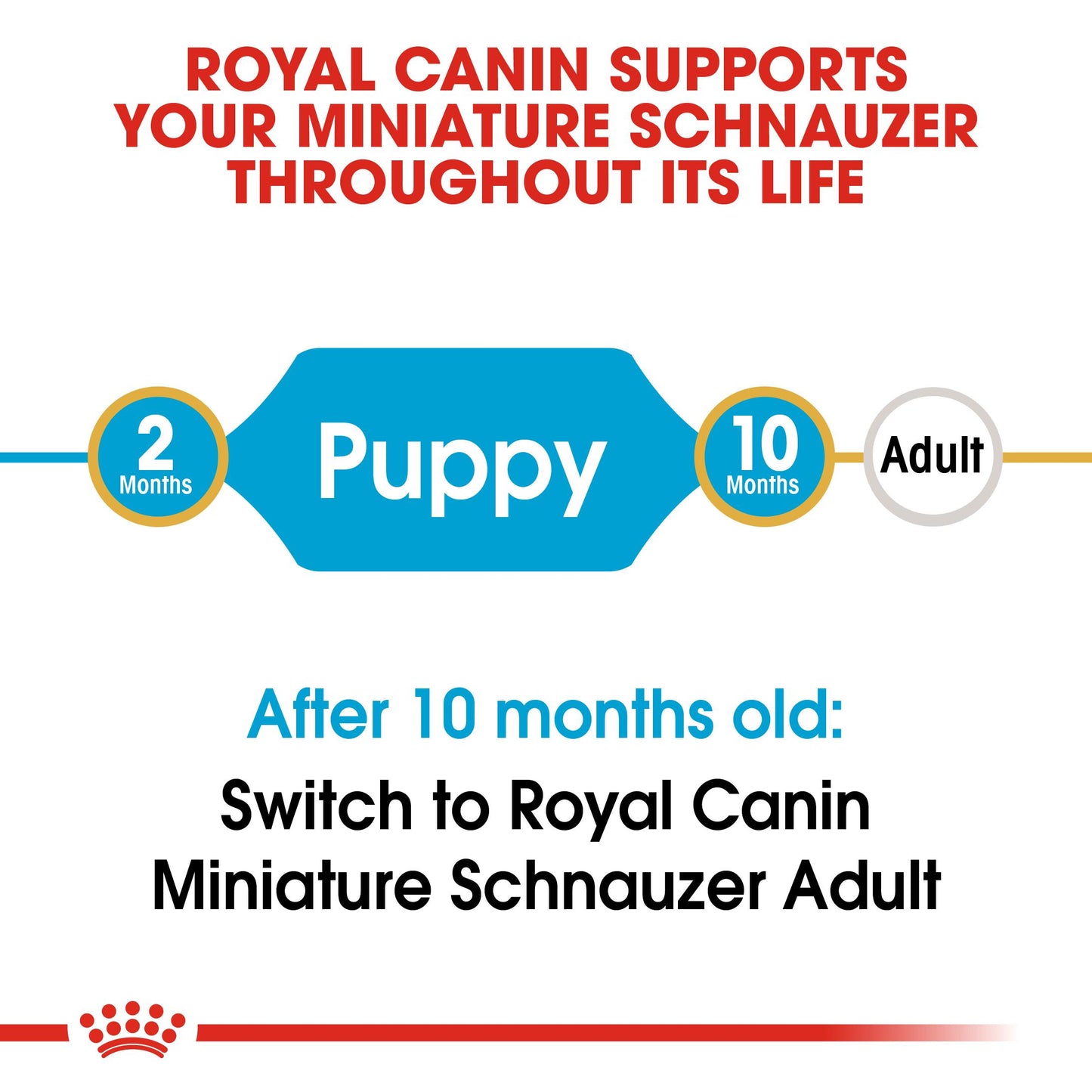 Royal Canin Miniature Schnauzer Dry Puppy Food