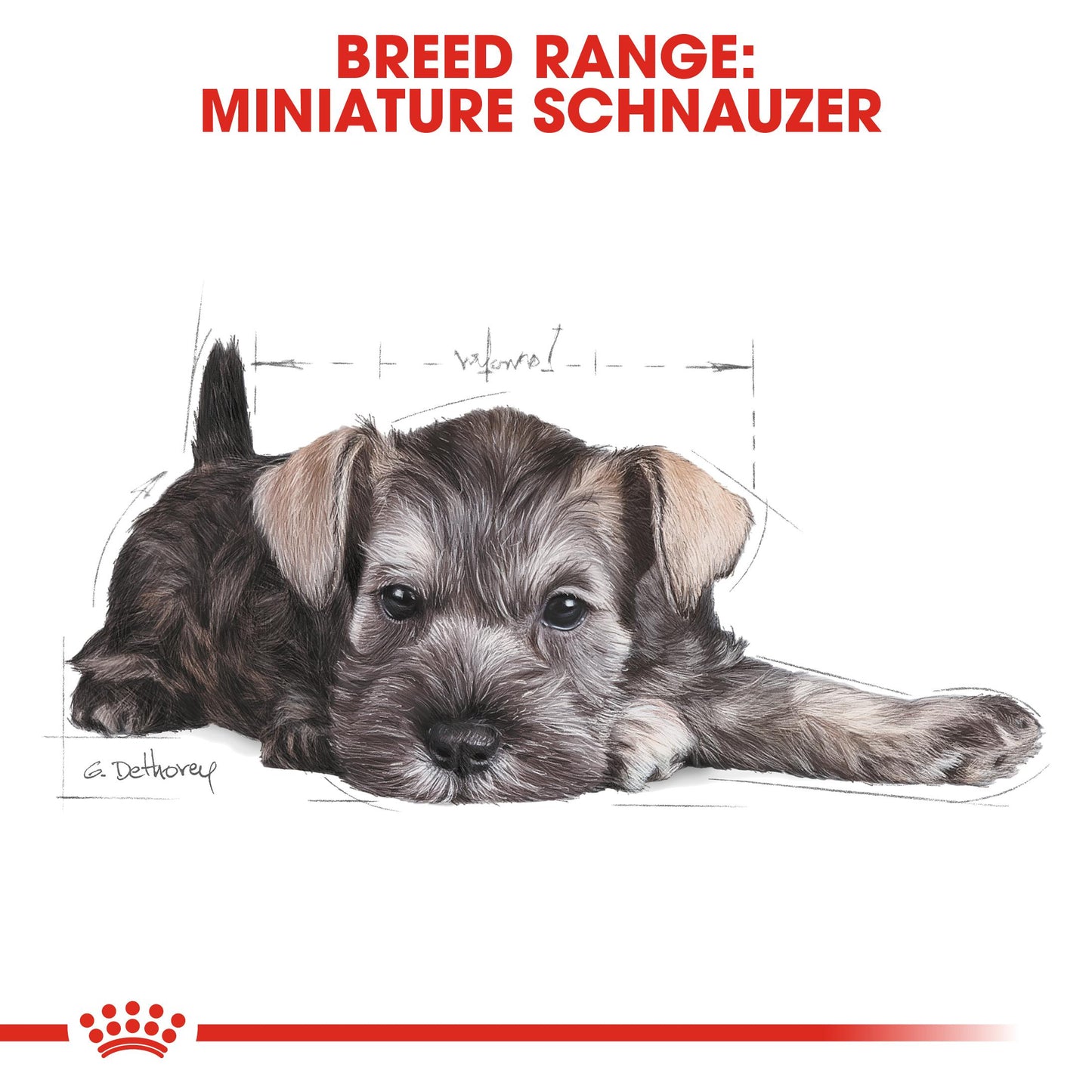 Royal Canin Miniature Schnauzer Dry Puppy Food