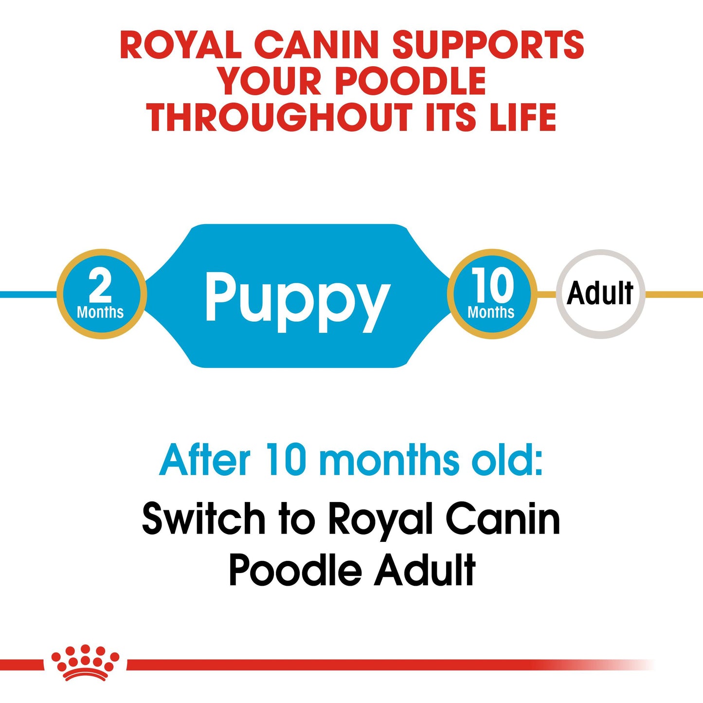 Royal Canin Poodle Dry Puppy Food