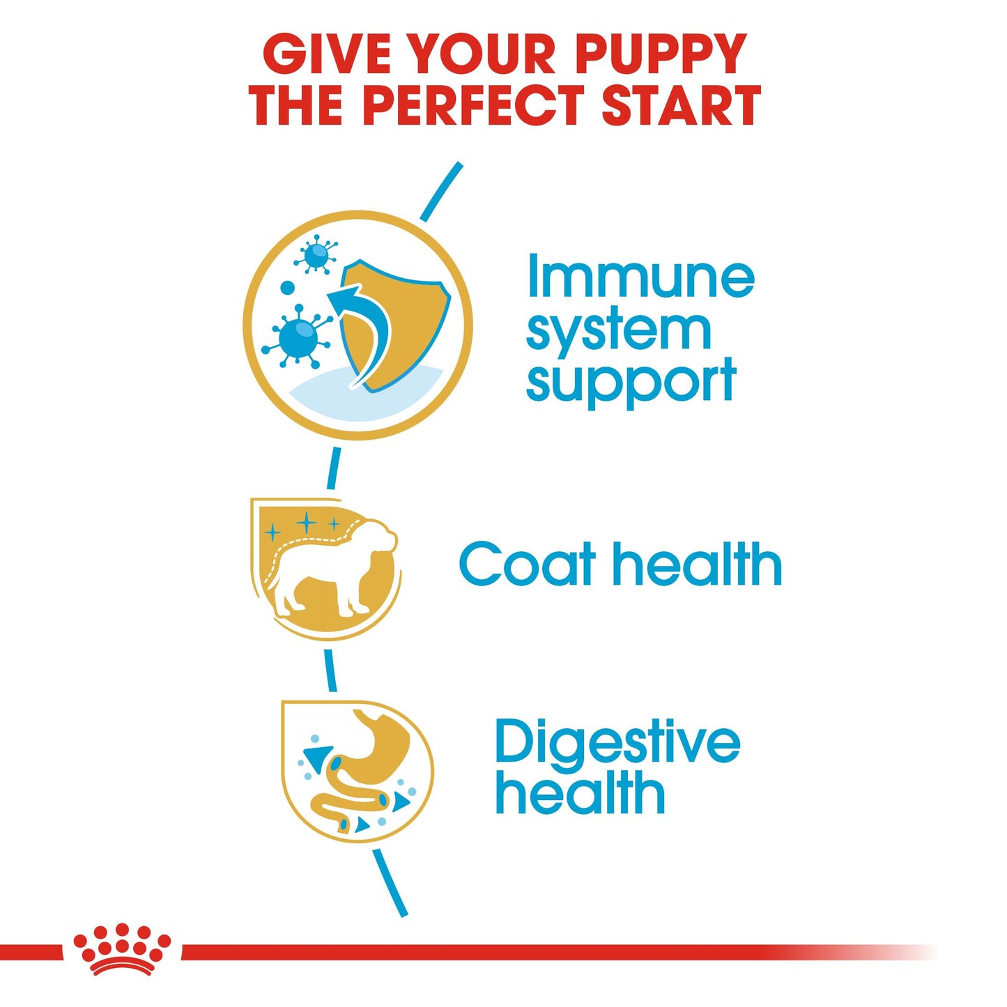 Royal Canin Poodle Dry Puppy Food