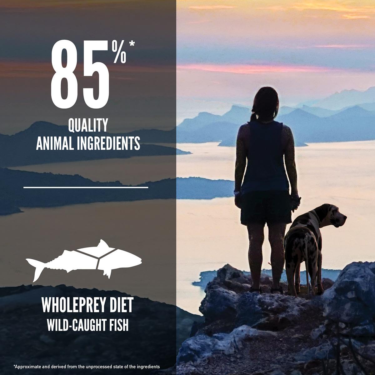 Orijen Six Fish Dry Dog Food