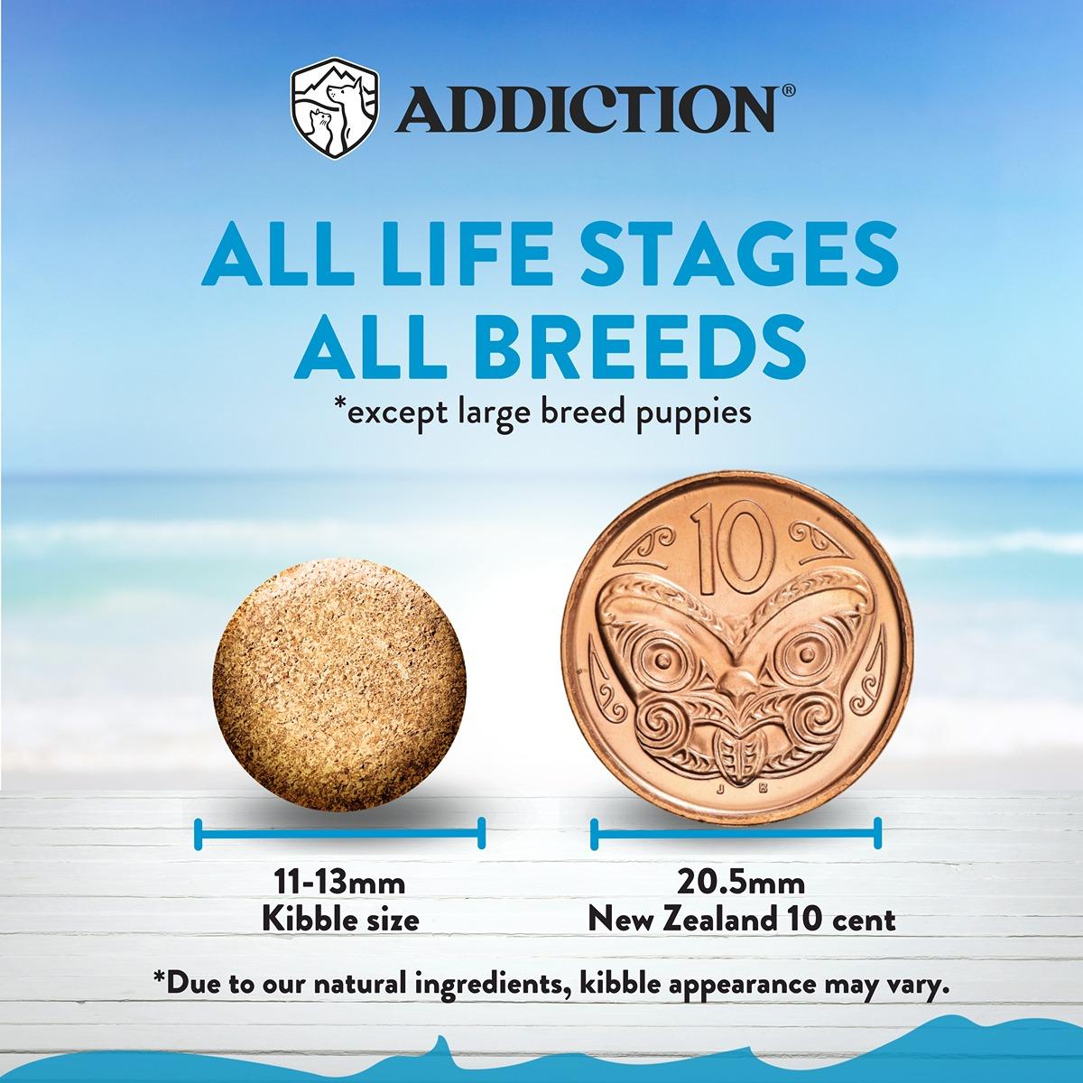 Addiction Salmon Bleu, Complete & Balanced, Skin & Coat Dry Dog Food