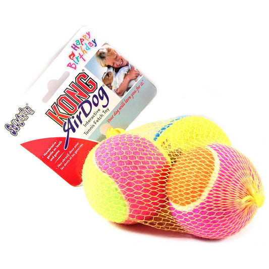KONG AirDog Squeaker Birthday Balls