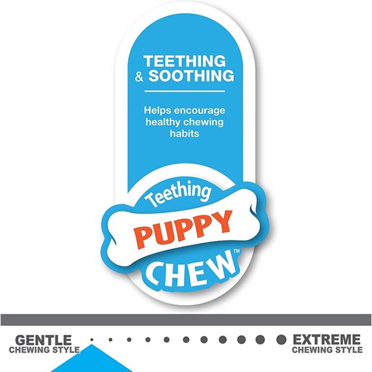 Nylabone Puppy Teething Keys Dog Toy